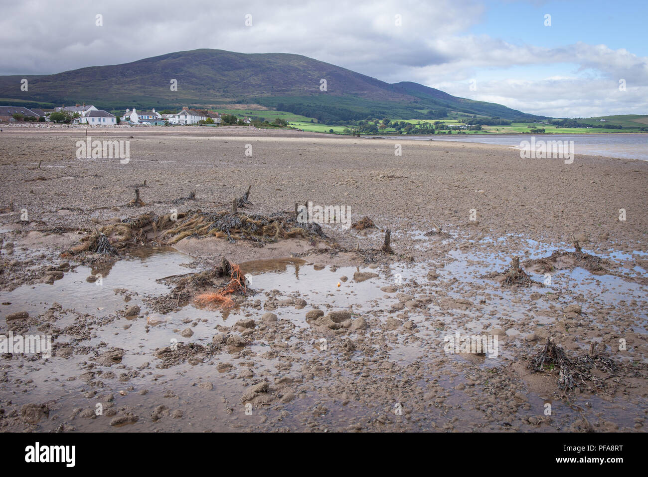 Vue sur Criffel prises de la plage à Carsethorn, Dumfries et Galloway, en Écosse. Banque D'Images