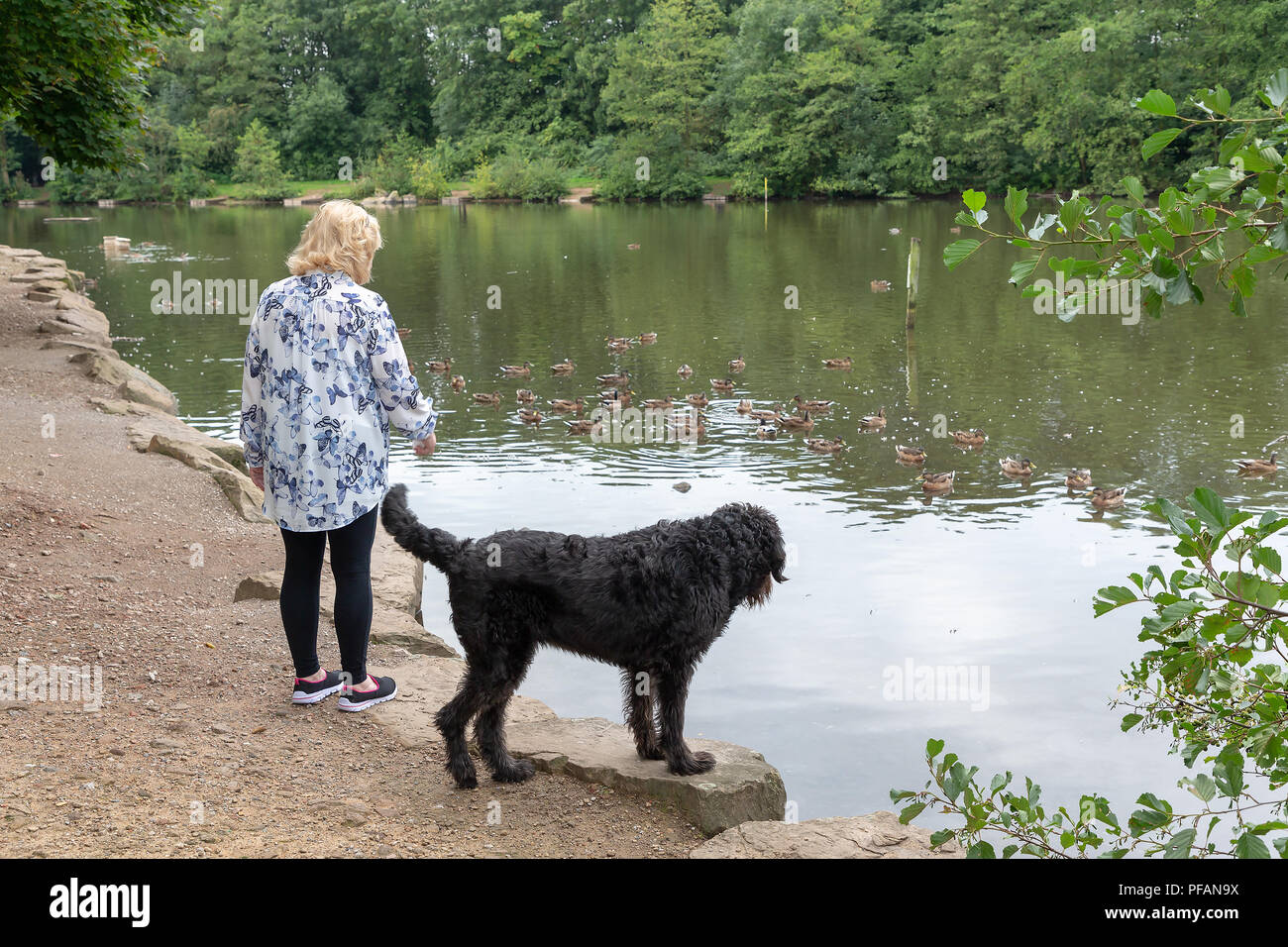 Blonde mature dame se trouve aux côtés du lac à trois soeurs la réserve naturelle locale, trois Sœurs Road, Ashton-In-Makerfield, Wigan avec son black Banque D'Images