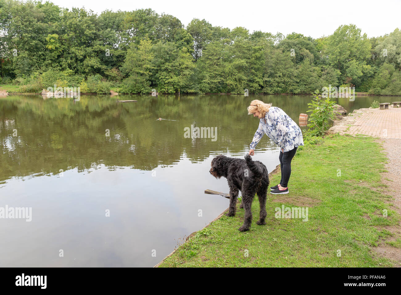 Blonde mature dame se trouve aux côtés du lac à trois soeurs la réserve naturelle locale, trois Sœurs Road, Ashton-In-Makerfield, Wigan avec son black Banque D'Images