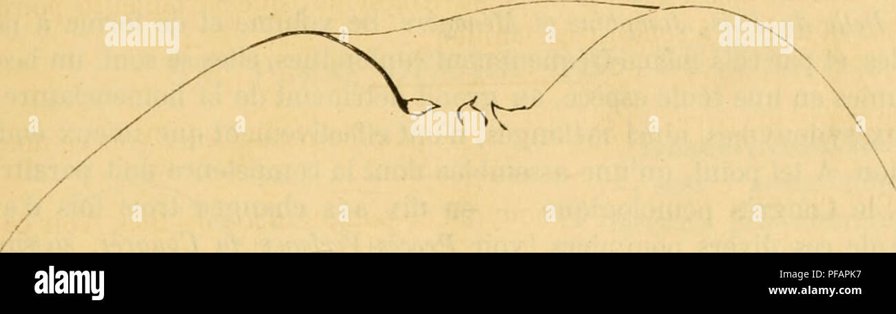 . Dictionnaire de mairie (Kiel), contenant l'histoire, la description, la figure des fruits anciens et des fruits modernes les plus G©N©ralement connus et cultivÂ©s. La culture de fruits. BEL [belle boi 107 abondantes, blanchÃ¢tres, arrondies, TRÀ¨s-petites. Â Coussinets : ressortis ; leur arÃªte, vive et saillante, descendre presque d'un mÃ©rithalle. À l'autre. - Yeux petits, arrondis, duveteux, noyÃ©s dans l'Ã©corce. Â Feuilles : assez grandes ou moyennes, ovales-arrondies, vert clair en dessus, bien duveteuses et blanc verdÃ¢tre en dessous, acuminÃ canaliculÃ©es, faiblement©es, souvent contournÃ©es e Banque D'Images