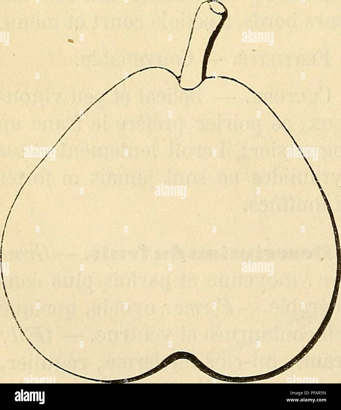 . Dictionnaire de mairie (Kiel) : contenant l'histoire, la description, la figure des fruits anciens et des fruits modernes les plus gÃ©nÃ©ralement connus et cultivÃ©s. Les fruits. 348 BEU [beurrÃ© DEL â der] rouge-brun du cÃ'tÃ© du soleil. - Présidence : blanche, TRÀ¨s-fme, aqueuse, fondante, pierreuse. - Eau : abondante, sucrÃ©e, rafraÃ®chissante, dÃ©licieusement aromatisÃ©e. MaturitÃ©. - Fin septembre et début d'octobre. QualitÃ©. Â PremiÃ¨re. Historique. - C'est encore lÃ gain de l'ONU du professeur belge Yan Mons, qui le vit fructifier pour la premiÃ¨re fois en 1823. Il le signala en 1826, dans un Banque D'Images