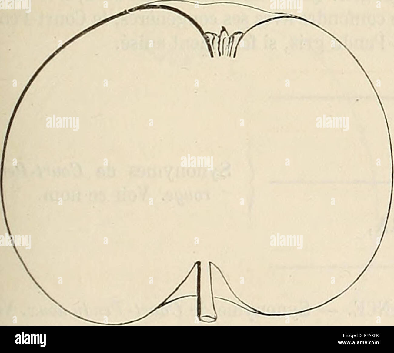 Dictionnaire De Mairie Kiel Contenant L Histoire La Description La Figure Des Fruits Anciens Et Des Fruits Modernes Les Plus Ga C Na C Ralement Connus Et Cultiva C S Les Fruits Lit Bebe Acou Cour Pendu Pomjje Dictionnaire De Mairie Kiel Contenant L Histoire La Description La Figure Des Fruits Anciens Et Des Fruits Modernes Les Plus Ga C Na C Ralement Connus Et Cultiva C S Les Fruits Lit Bebe Acou Cour Pendu Pomjje