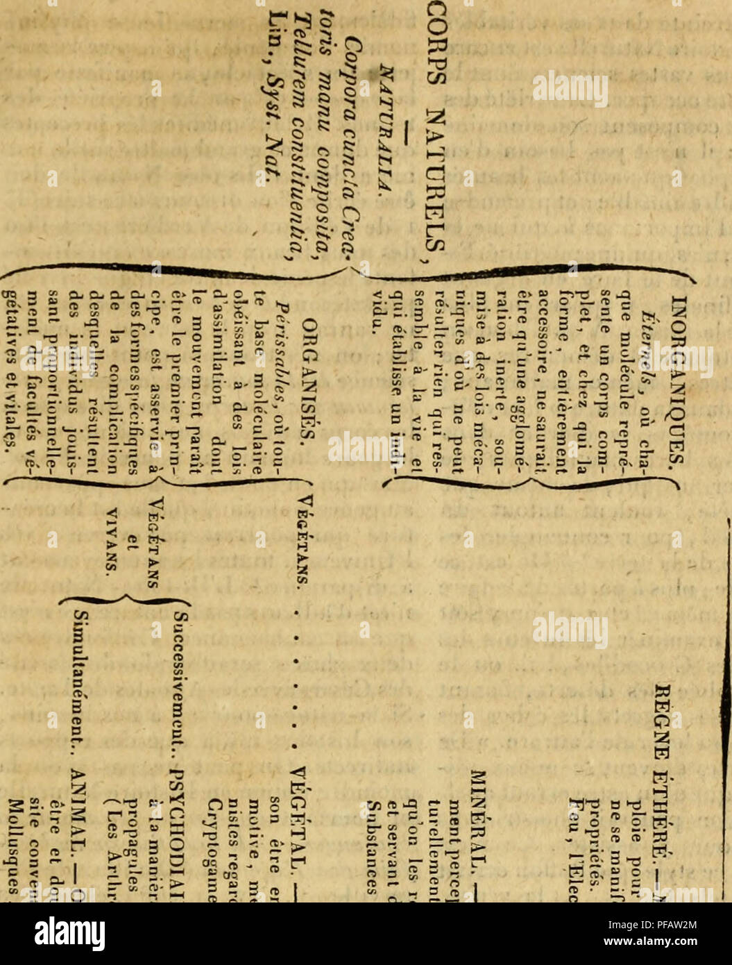 Dictionnaire Classique D Histoire Naturelle L Histoire Naturelle 947 R G 2 O T 3 C Lire A Re D S Une Lirodi 2 H A S A Il 3 A