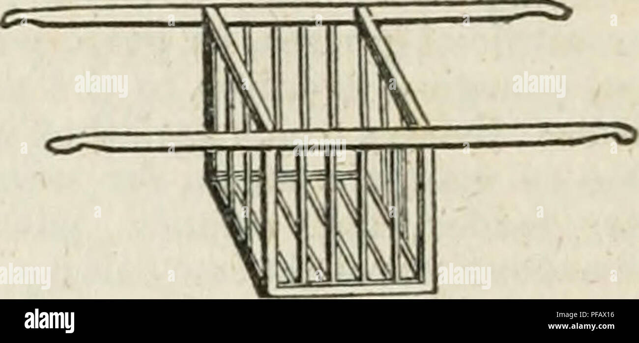 . Un dictionnaire de jardinage moderne. Le jardinage. M. HAN 280 HAL W. Wakefield donne à ces bonnes directions:â " pour empêcher l'humidité il doit y avoir une libre circulation de l'air ; les plantes doivent être placées sur un fond sec ; et s'ils sont dans une situation qui va admettre d'un incendie à l'occasion, il va rendre le puits ou de maison sèche, mais il doit être utilisé très peu, et seulement lorsque nécessaire. lutely absolues- Mais même avec tous les soins et l'attention, l'humidité va attaquer | certaines plantes, et généralement ceux que je sont plus succulentes dans leur nature, ou 1 le jeune et d'un sommet des autres. Nous devrions donc Banque D'Images