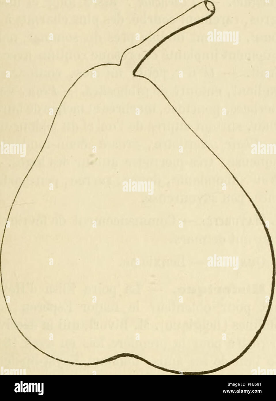 . Dictionnaire de mairie (Kiel), contenant l'histoire, la description, la figure des fruits anciens et des fruits modernes les plus G©N©ralement connus et cultiv©s. La culture de fruits. ÃLà âÃLT étribunaux 125 personnes.  Feuilles : grandes, peu nombreuses, ovales ou elliptiques- allongées, dentées profondément, portées sur un pétiole un peu court et des plus nourris. Fertilité.  ordinaire, mais soutenue. Poire ÃléoÃ"ie Bouvier. La culture.  Il n'a rien d'excep- tionnel dans sa vigueur et dans son développement ; il pousse bien sur toute espèce de sujet et prend une forme pyramidale trà¨s-remarqua Banque D'Images
