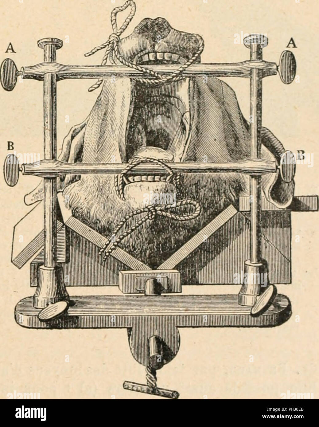 Ce dictionnaire de physiologie en langue française offre des définitions et des explications complètes sur des sujets liés aux processus physiologiques chez l'homme et l'animal. Il couvre des systèmes tels que les systèmes circulatoire, digestif et respiratoire, ainsi que divers phénomènes physiologiques tels que la contraction musculaire, la transmission neurale et les fonctions cellulaires. Le texte fournit des connaissances fondamentales pour les étudiants et les professionnels en biologie et en médecine. Banque D'Images