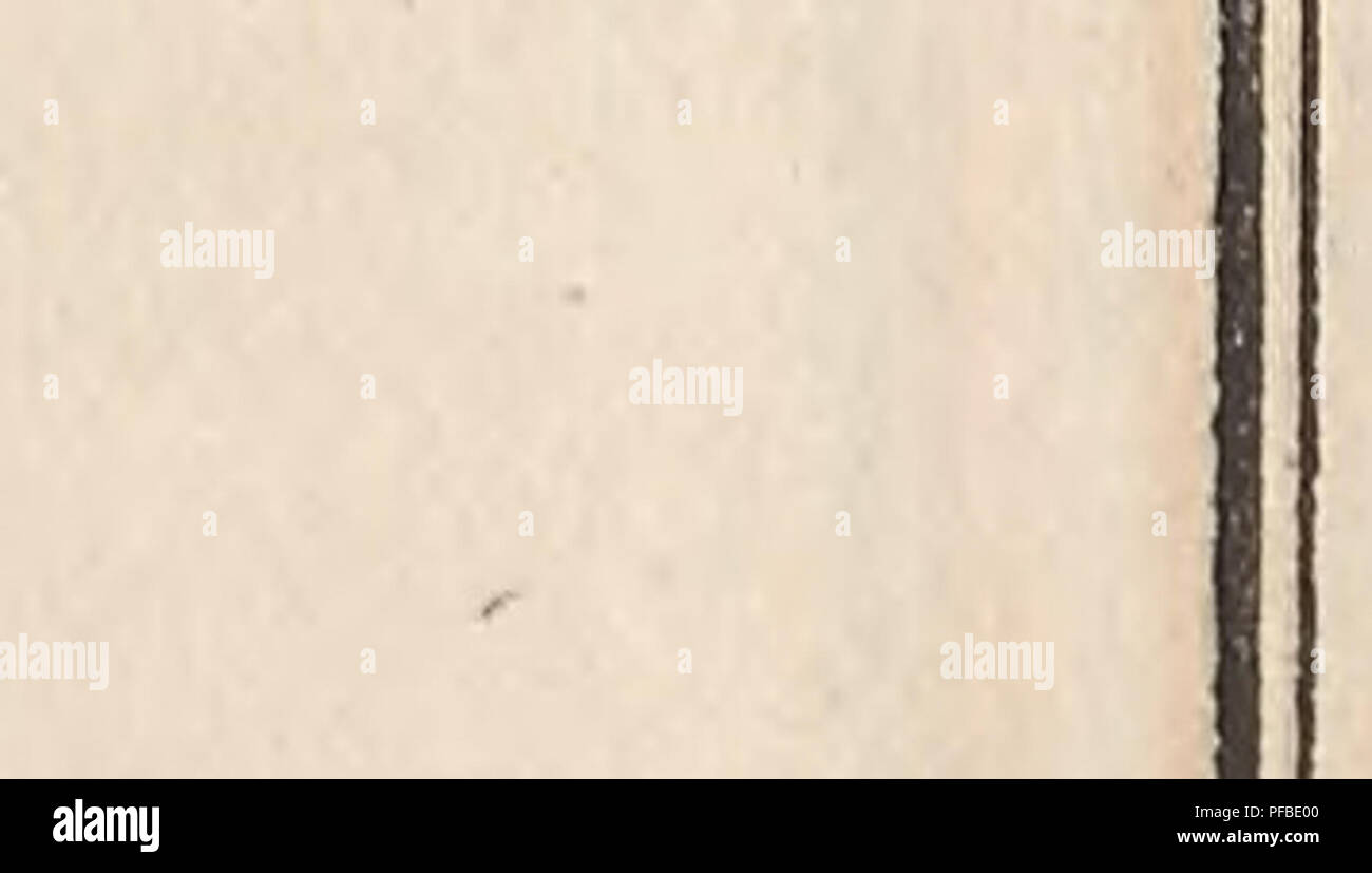 . Description de l'E ?gypte, ou, Recueil des observations et des recherches qui ont e ?te ? Faites en l'E ?gypte pendant l'e ?xpe ?dition de l'arme ?e ?franc aise. Histoire naturelle ; les expéditions scientifiques ; la musique.  ?  ? ? 1 ?. . ?. 1 ?&gt ; ! A A Al. Veuillez noter que ces images sont extraites de la page numérisée des images qui peuvent avoir été retouchées numériquement pour plus de lisibilité - coloration et l'aspect de ces illustrations ne peut pas parfaitement ressembler à l'œuvre originale.. La France. Commission des sciences et arts d'Egypte, Napoléon Ier, empereur des Français, 1769-1821 ; Jomard, M. (Edme-Franc ?ois), 1777-1862 ; Fourier, J Banque D'Images