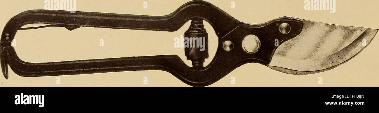 Ce catalogue de jardinage offre une variété d'arbustes, d'arbres et de fruits, ainsi que des outils de jardinage essentiels comme des cisailles d'élagage. Il comprend des descriptions des types de plantes et de leurs besoins en soins pour une croissance optimale en différentes saisons. Banque D'Images