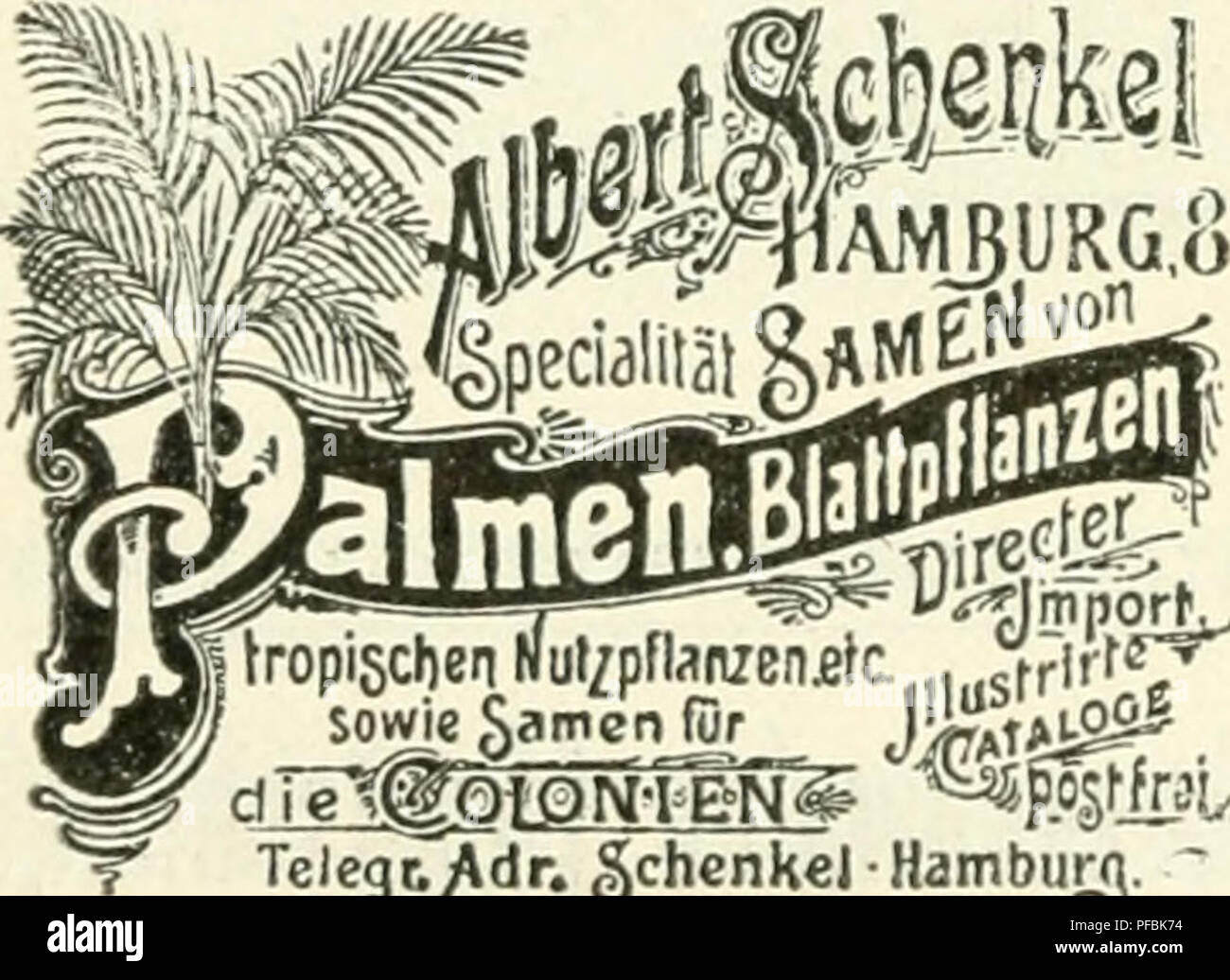 . Tropenpflanzer ; Zeitschrift der Landwirtschaft l fr. Plantes tropicales ; les cultures tropicales. - 2Ü4 Matthias Rohde &AMP ; Co., Hambourg Spediteure der Kaiserlich Deutschen und des Marines Königlich Preufsischen Kriegsministeriums. Spedition. Kommission. L'exportation. L'importation. Spezialverkelir iiaeh Kiautschou, den deutschen Schutz- und Ost- und dans Neu-Ciuinea Sanioa Westafrika, und. Dans Landangelegenheiten Vertretung übernimmt Landmesser Lange, Tanga, Deutsch-Ostafrika..^mporl' l' écrou tropischen/pn3nzenjeta frirfv,,."Tclegt gchenkel./dr-Hambourg. '. Veuillez noter que ces images sont extraits f Banque D'Images