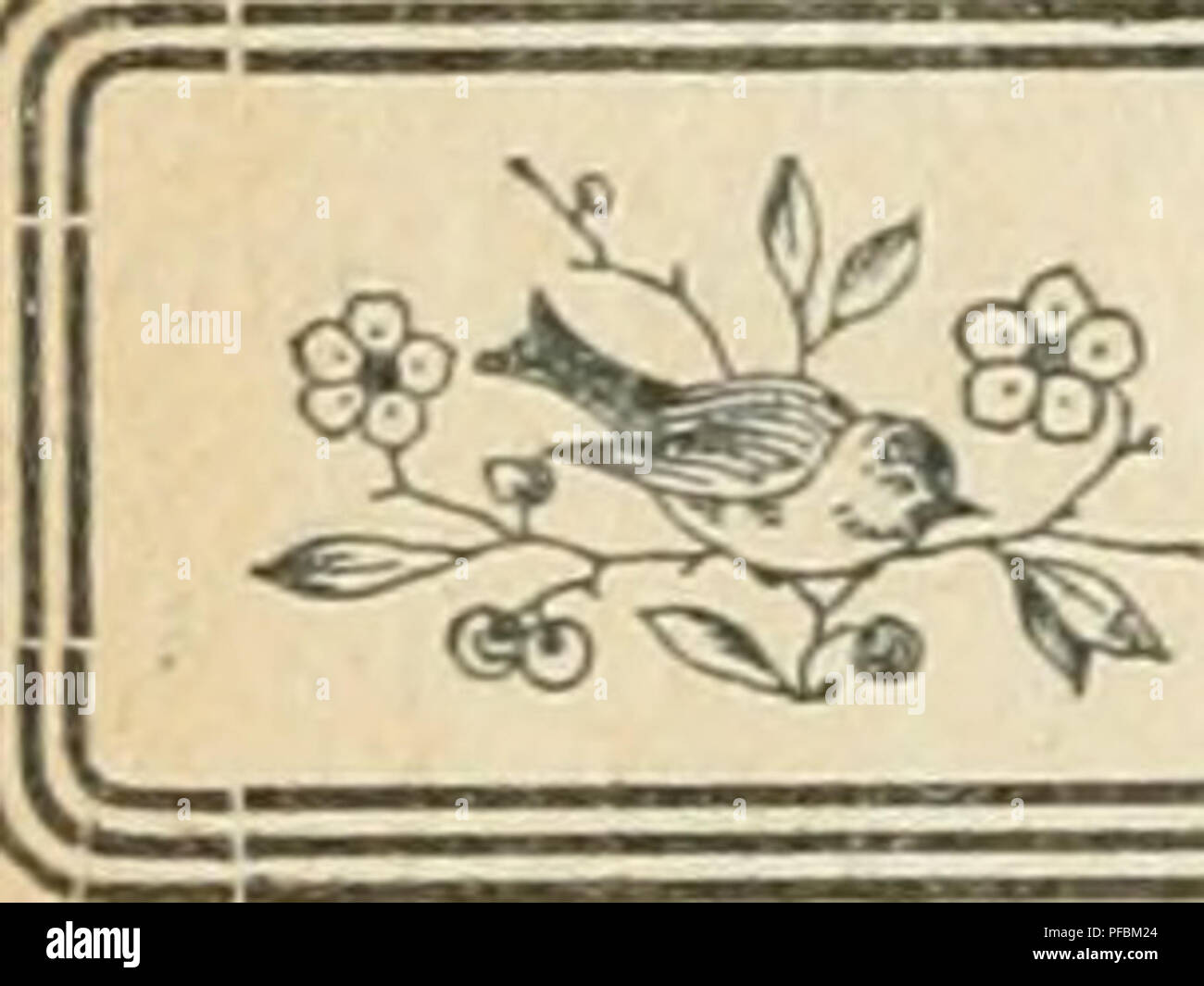 Der Ornithologische Beobachter Les Oiseaux Les Oiseaux A A 30 Am 12 Sslich Anla Novembre Exkursion Von Der Asektion Auf Den Weissenstein Berne Suloth Jura Rund 1300 M A M