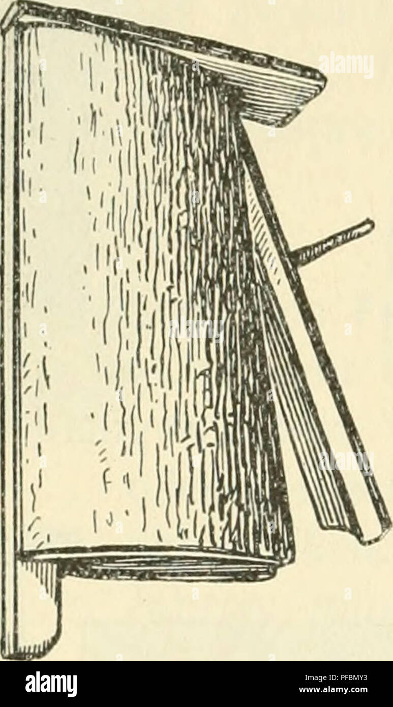 . Der Ornithologische Beobachter. Les oiseaux ; les oiseaux. - Leichtern Nisthölilen niclit 7 kommen oder nur in geringem Masse zu. Der Wettbewerb wurde durch ces Objekte beschickt : 1. Und Die Kasten einfachster* ältester) Stucki, système Weber, sandte wohl der Ornithologische Verein Berne. Sie sind, wie aus dem Bilde Fig. 6 Ladenschwarten zusammengefügt ersichtlich, aus 2 beigcgobenen Nägeln vermittelst und leicht zu befestigen. Der Deckel, bezw. Brettclien Flugloch- das der Seite ist durch Winkelschrauben festgemacht und kann eine. Veuillez noter que ces images sont extraites de la page numérisée im Banque D'Images