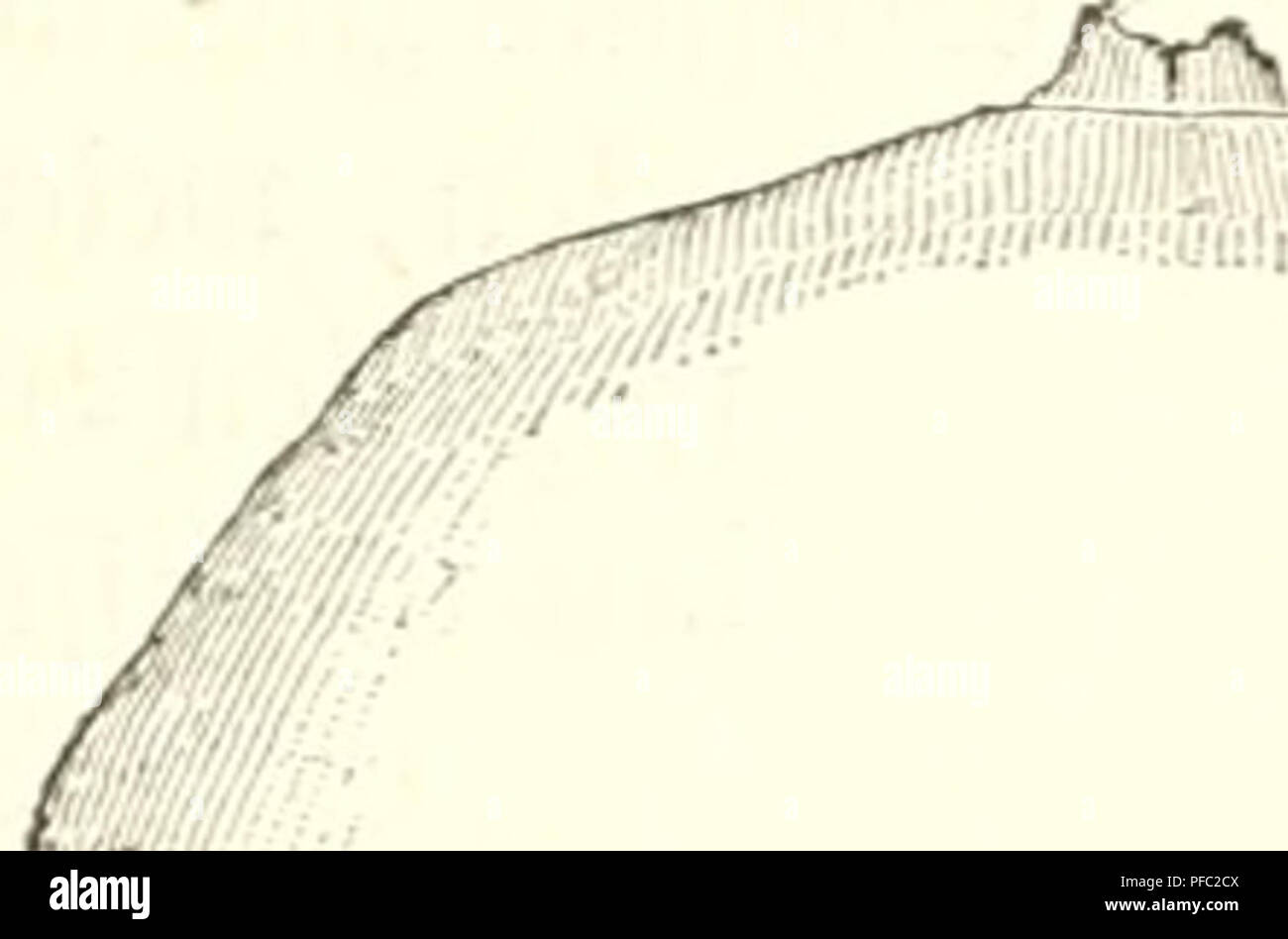 . Der Mensch. L'anthropologie, l'anatomie humaine, la physiologie. . Veuillez noter que ces images sont extraites de la page numérisée des images qui peuvent avoir été retouchées numériquement pour plus de lisibilité - coloration et l'aspect de ces illustrations ne peut pas parfaitement ressembler à l'œuvre originale.. Ranke, Johannes, 1836-1916. Leipzig, Bibliographisches Institut Banque D'Images