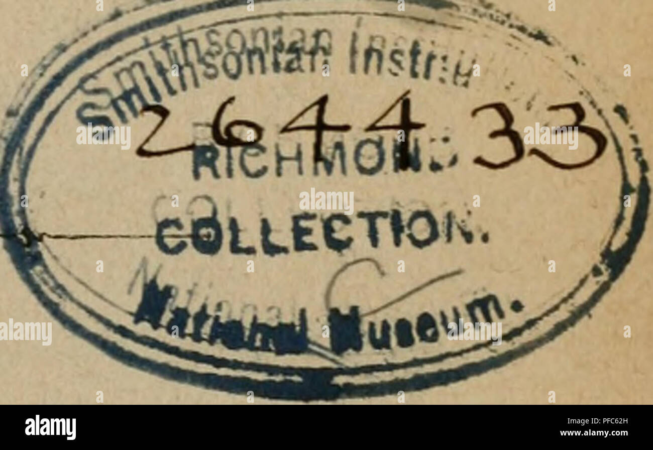 . Der Graupapagei. Seine Naturgeschichte ... Perroquet gris d'Afrique. Mai 7,1924 (Ireut3'Perlagsbucbt^anblung fdje (3t &AMP ; 5Ä. .Ti-etfcf)mann.) 1896.. Veuillez noter que ces images sont extraites de la page numérisée des images qui peuvent avoir été retouchées numériquement pour plus de lisibilité - coloration et l'aspect de ces illustrations ne peut pas parfaitement ressembler à l'œuvre originale.. Russ, Karl, 1833-1899), Richmond, Charles Wallace, 1868-1932 DSI. Magdeburg : Creutz'sche Derlagsbuchhandlung Banque D'Images