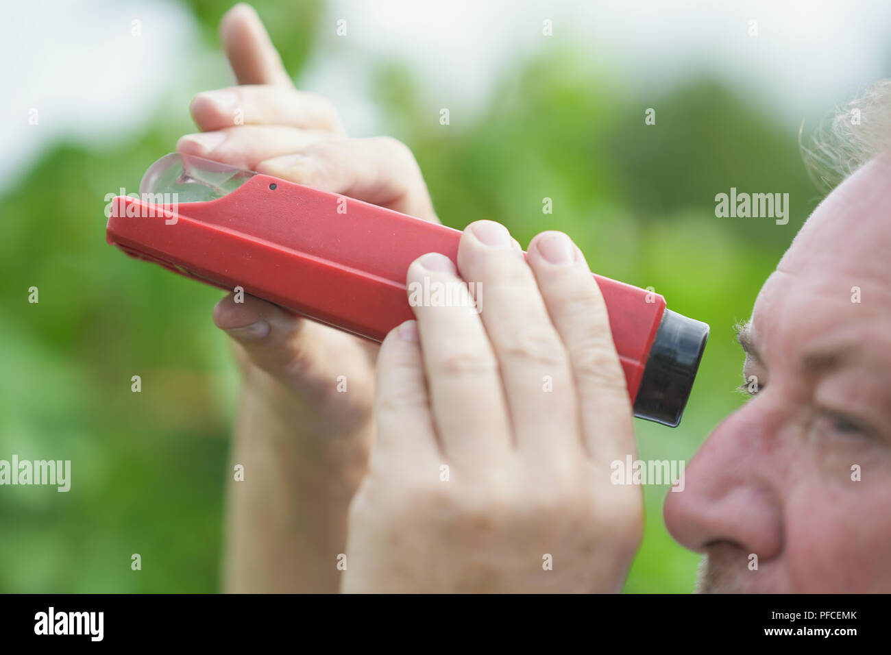 Heppenheim, Allemagne. Août 21, 2018. Otto Guthier, directeur général de Bergsträsser politicien du SPD Winzergenossenschaft, regarde dans un réfractomètre dans un vignoble dans le 'Heppenheimer Stemmler' localisation. La récolte commence aujourd'hui sur la Bergstrasse de Hesse. Credit : Uwe Anspach/dpa/Alamy Live News Banque D'Images