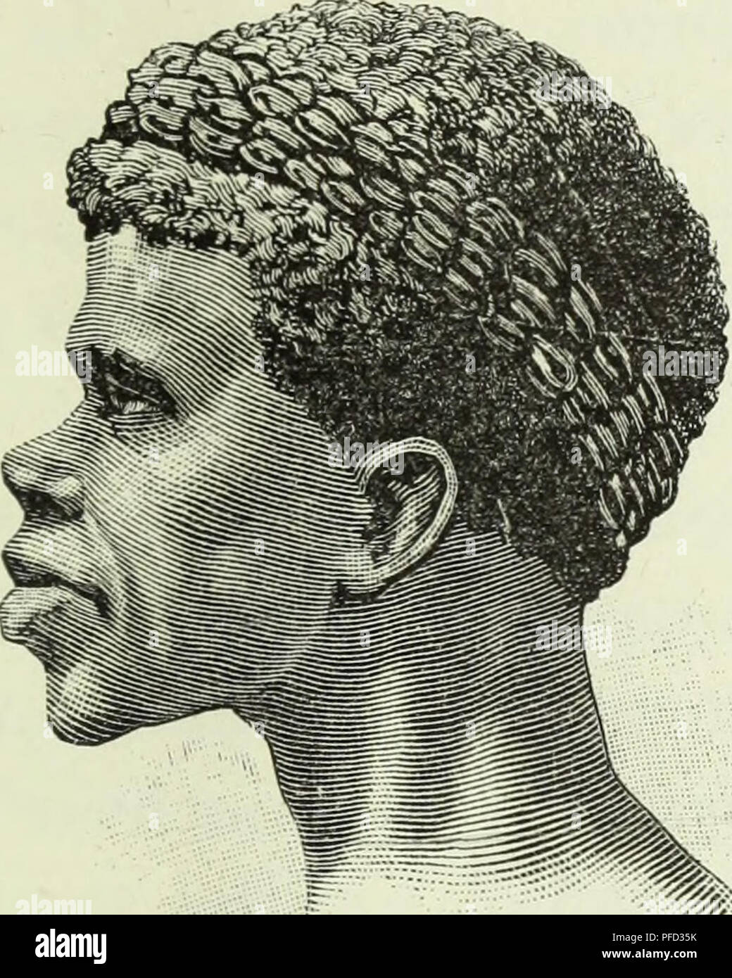 . De Angola á contre-costa, descripção de uma viagem continente africano-atravez. L'histoire naturelle. Natura 429 fera António, logo ao entrar n'ella, abatera duas formo- quissemas sas e uma gazella, que pela noite se- prepa raram e même desappareceram emquanto em parte, uma manada de elephantes se approximou n'acampa- mento, atroando tudo ; eram dez horas da noite. Eis o que nos diz o diário, un sanglot rubricado impressão do momento :. mm* MULHER AMBOFXLA Tirado de um soirées "... scenas estranhas são aquellas que assisti une agora, mos- e bem dignas de penna melhor maneja- da. Imaginez-se uma Noite Banque D'Images