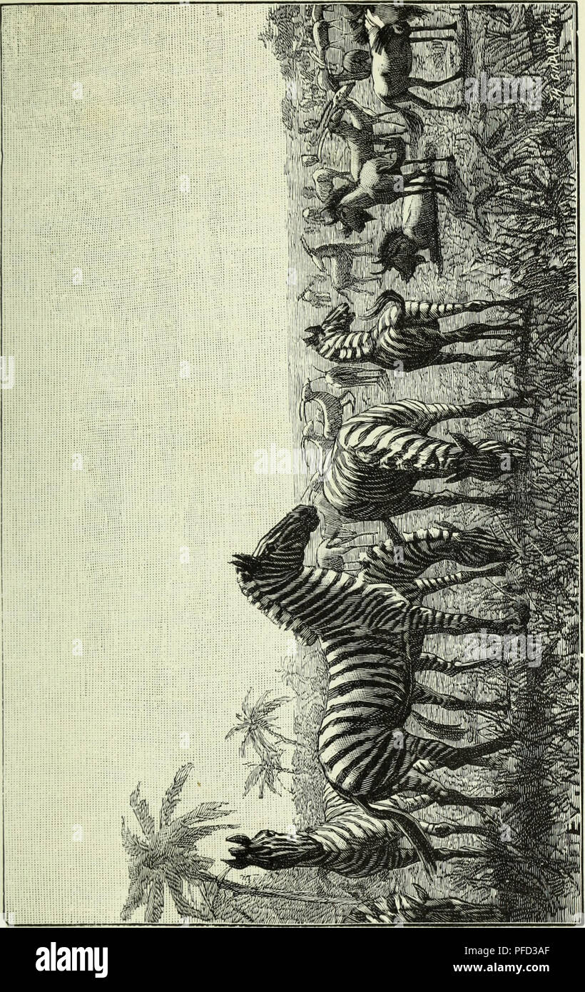 Cet ouvrage décrit un voyage à travers le continent africain, documentant les paysages, la faune et l’histoire naturelle rencontrés. Il comprend des observations sur la flore et la faune de l'Angola et de ses régions voisines, offrant une vision approfondie des écosystèmes d'Afrique centrale. Banque D'Images