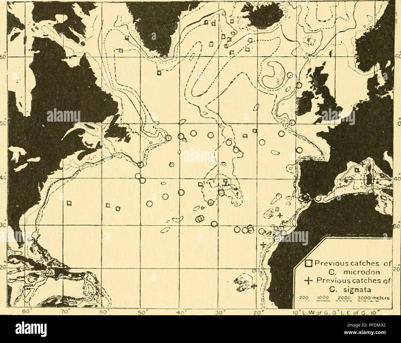 . Les profondeurs de l'océan : un compte rendu général de la science moderne de l'océanographie fondée en grande partie sur la recherche scientifique de la vapeur norvégien Michael Sars dans l'Atlantique Nord. "Michael Sars" en haute mer de l'Atlantique Nord (1910) de l'expédition ; océanographie ; océan Atlantique Nord. Profondeurs de l'OCÉAN 626 formulaires en question semble s'expliquer par rapport à la distribution de la température. Au chapitre VH. Nous avons remarqué que la température le long de l'océan-de-chaussée est très uniforme, et par conséquent le fond abyssal-poisson, comme Macriirus filicauda armatus et M., ont une très large distribution. Banque D'Images