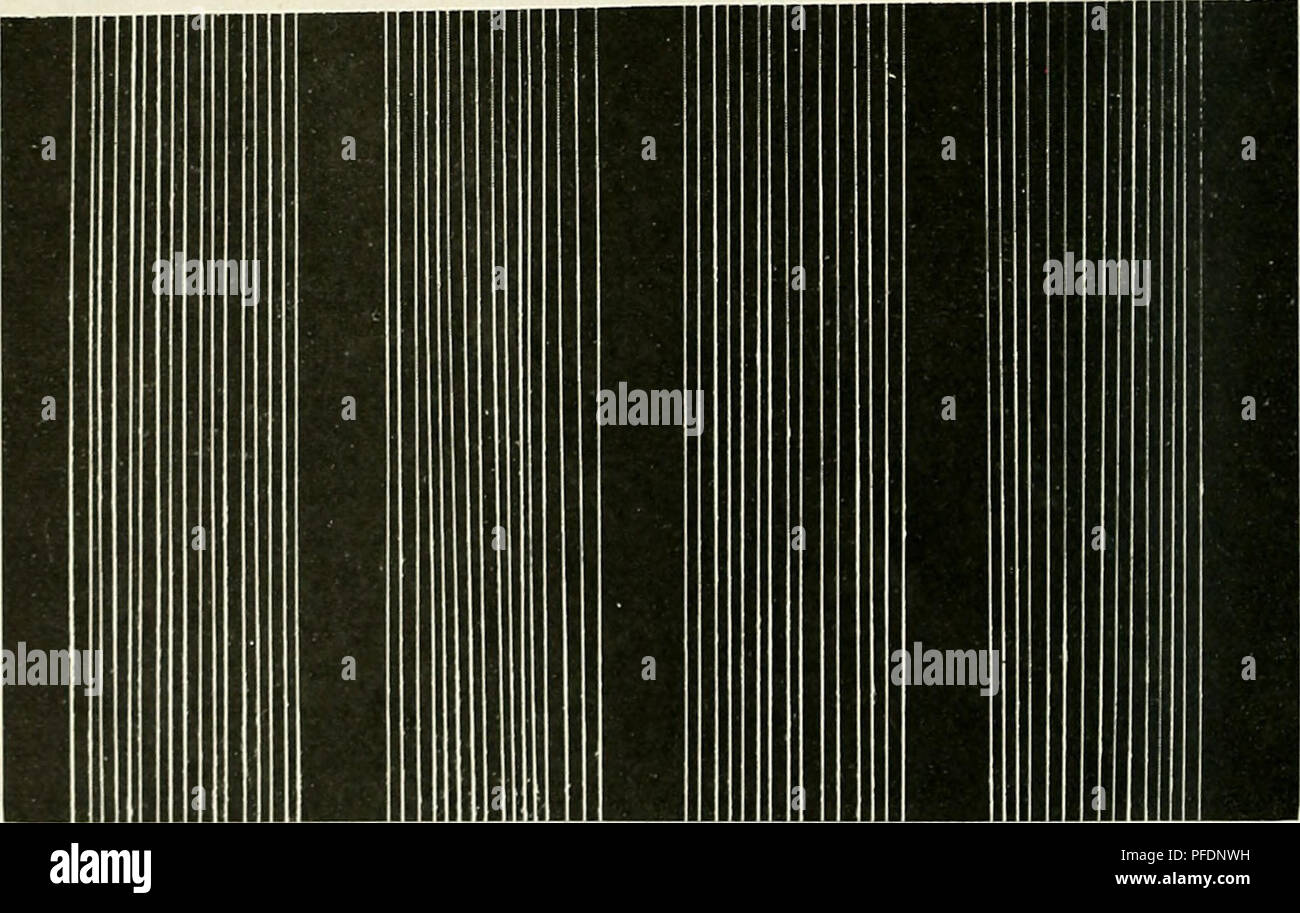 . Bulletin du Ministère. L'agriculture ; l'Agriculture. Bui. 1135, U.S. Dept. of Agriculture. C. plaque DELTA - 1 1/8° TEST DE COMPRESSION 40 février 1932* b 12 fils n° 22 V 35#  13#  (3) Fig. I.-photo de 40 fils de la Delta I Pouces comprimé Coton de différentes densités. WEBBER 49 -j-J-" TEST DE COMPRESSION 50 décembre 1921 Fils de fs 12 n° 22 n° 35 n° 35 n° Vtet. Fig. 2.-photo de 50 ans fils de coton Webber 49 com- pressé de densités différentes.. Veuillez noter que ces images sont extraites de la page numérisée des images qui peuvent avoir été retouchées numériquement pour plus de lisibilité - coloration et appeara Banque D'Images