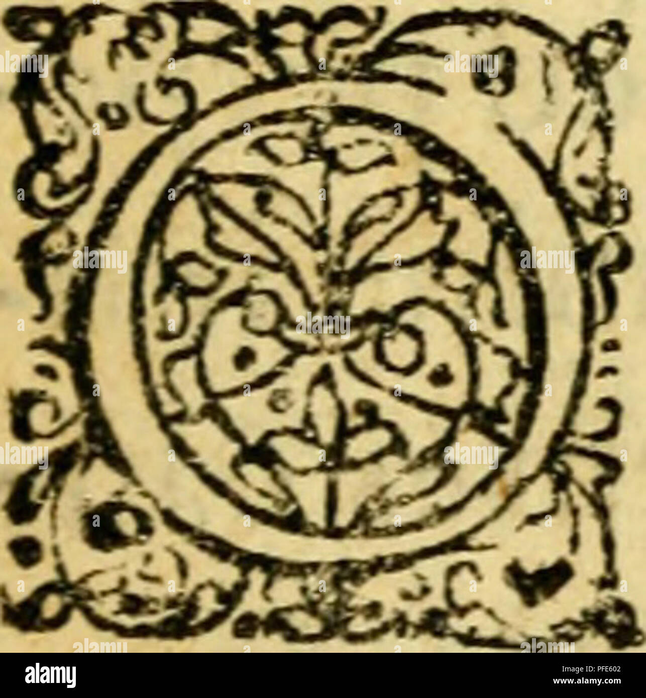 . De ranis et lacertis observationes. io*3 ******************** U ) ************ ******** OLIGERI JACOBAI RANIS LACERTIS OBSERVATIONES. W.. Â Â je m habitant" PrimumÂ Ranarurti De Generatione &AMP ;. Lacertorurn rtum famque rhetamorphofinex animalium mi- fummapanduntur myftcria* pendenti naturae , Deusq qvafi palpatur ; l'ipfe manu,qvod, prateralia ttialia- ani, ran, magnonaturae artificioeffi^ teftantur&amp;æ. Omnesexovo,com- B muni. Veuillez noter que ces images sont extraites de la page numérisée des images qui peuvent avoir été retouchées numériquement pour plus de lisibilité - coloration et l'aspect de ces illustra Banque D'Images