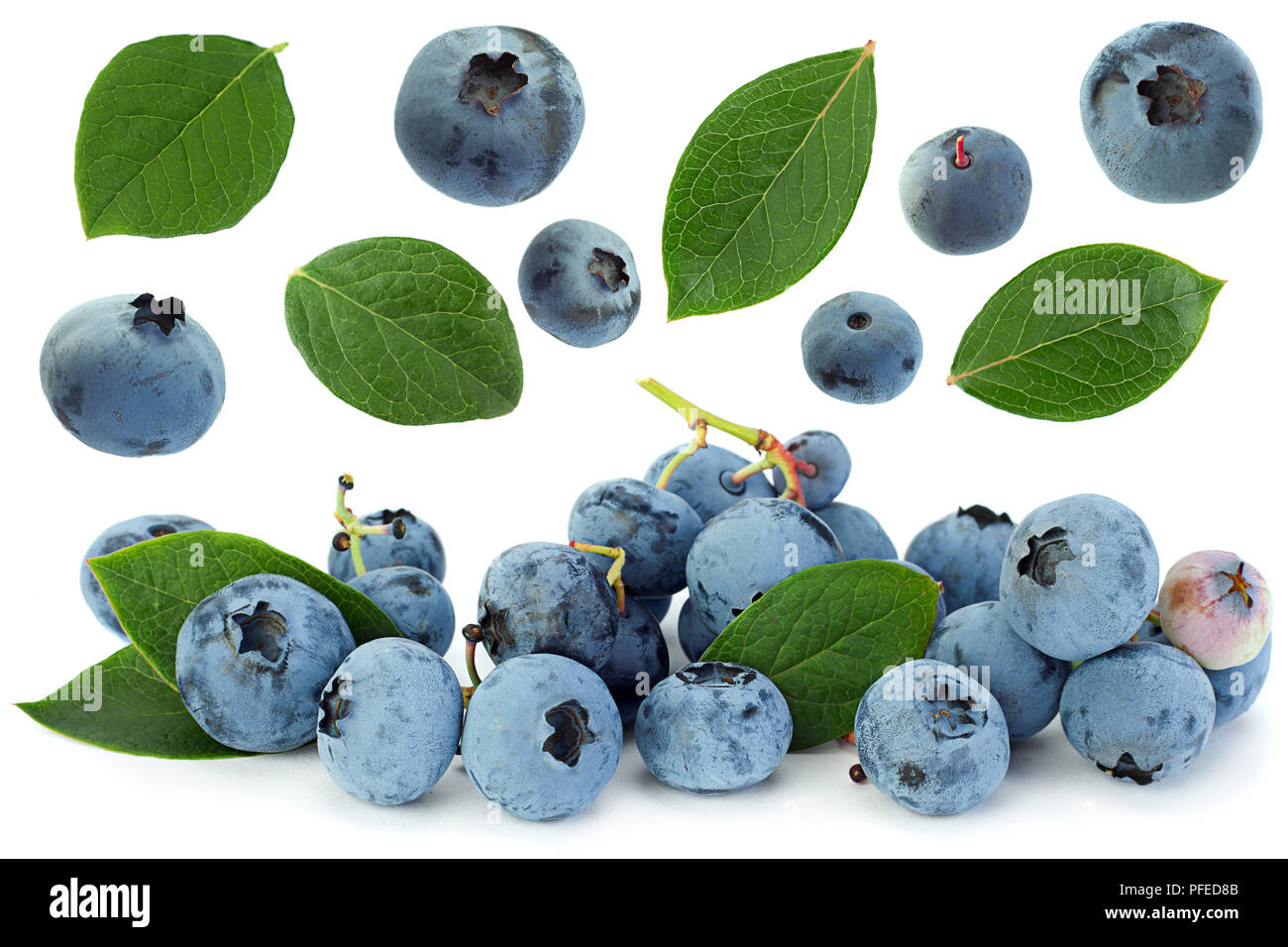 Blueberry berry définir libre isolé sur fond blanc Banque D'Images