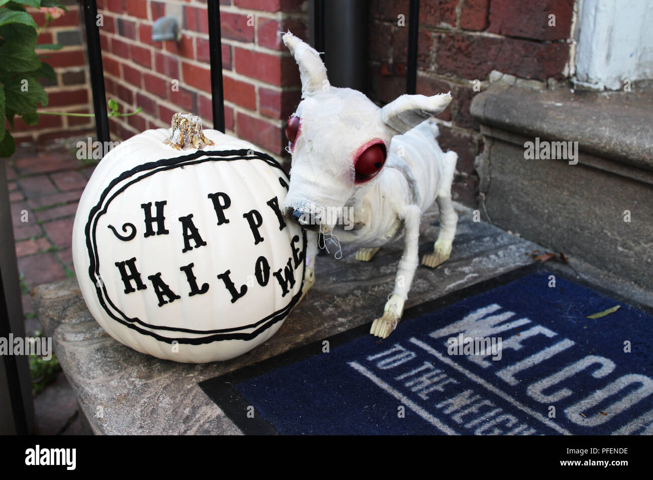 Une maman de Halloween chien avec les yeux rouges debout à côté d'une citrouille peint en blanc avec un Joyeux Halloween signe sur le front porch Banque D'Images