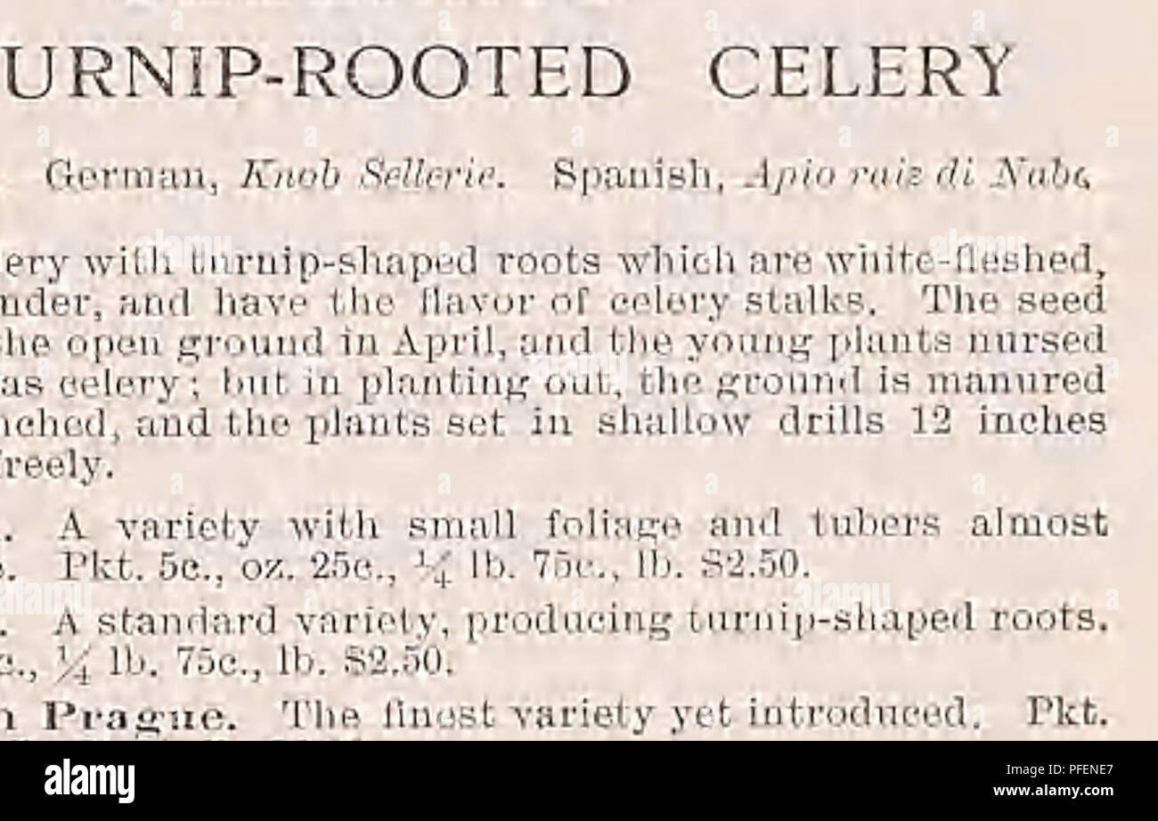 . Catalogue descriptif de légumes, de fleurs, et des semences de ferme. Pépinières (Horticulture) ; le matériel de pépinière ; semences, bulbes (plantes) ; jardinage ; Matériel et fournitures ; plantes ; Weeber &AMP ; Don. Allemand, cerfeuil Kerbel. Le français, l'Cetfeuil. L'espagnol. Perifollo. Le cerfeuil cultivé est gondolé, comme le persil et utilisé lor de garnir et l'assaisonnement des soupes et salades. La semence de la racine tubéreuse est semé en août, et traités comme la carotte. Cerfeuil gondolé. Les jeunes feuilles sont utilisées pour aromatiser les soupes salades ami. Pkt. 5c, oz. 10c,  % lb. 30C, lb. $1.00. Tu s'enracine Heron. Préparé pour la table comme Banque D'Images