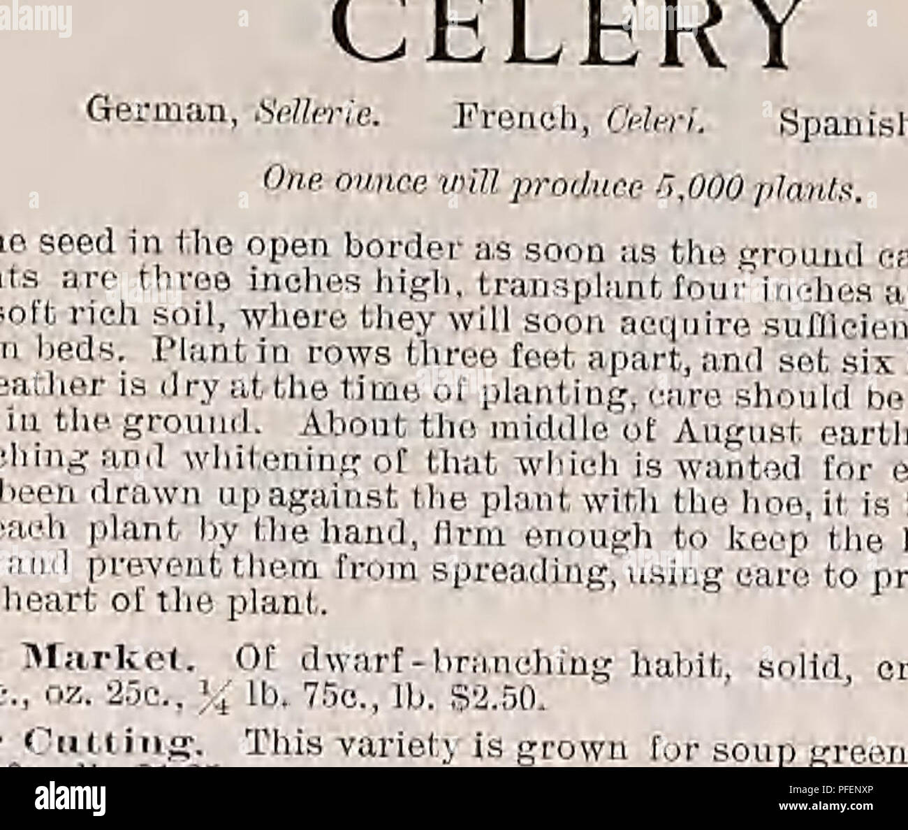 . Catalogue descriptif de légumes, de fleurs, et des semences de ferme. Pépinières (Horticulture) ; le matériel de pépinière ; semences, bulbes (plantes) ; jardinage ; Matériel et fournitures ; plantes ; Weeber &AMP ; Don. Les graines de légumes 10 WEEBER y DON. Cerfeuil allemand, noyau. Français, Espagnol Gerfeuil. Perifollo. Le bouclé le cerfeuil cultivé comme le persil, et utilisé pour garni'sdfr et l'assaisonnement des soupes et salades. La semence de la racine tubéreuse est semé en août, et traitée comme la carotte, le cerfeuil. Les jeunes feuilles sont utilisées pour aromatiser les soupes et salades. Pkt. 5c, oz. 10c,  % lb. 30C, lb. SI.00. Roote tubéreuse Banque D'Images