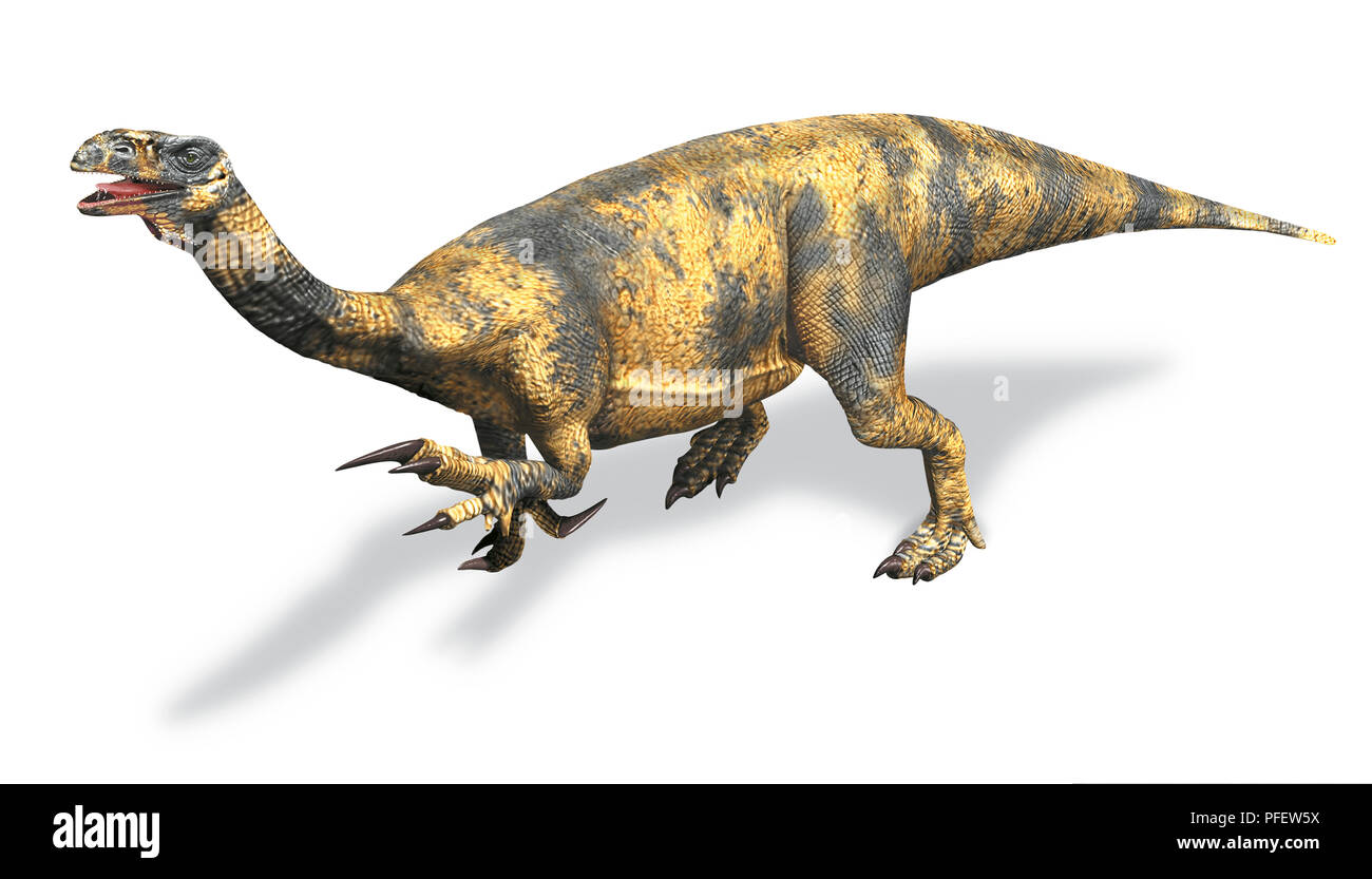 Dinosaure prosauropode Plateosaurus, un à long corps, de grands pieds, griffes et pouce. Banque D'Images