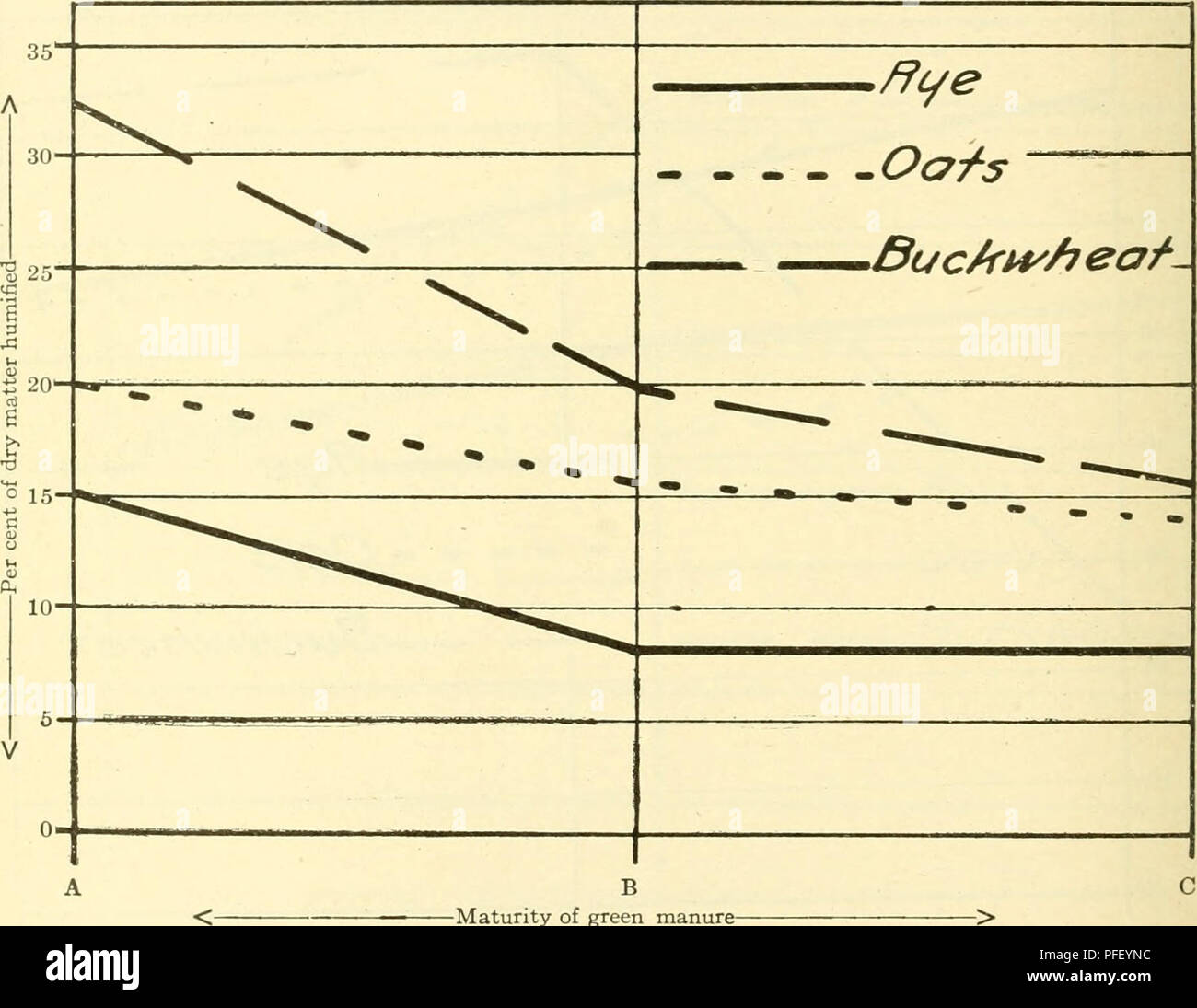 . La décomposition des engrais verts à différents stades de croissance ... Engrais verts. [From old catalog]. Bulletin 148 406 qu'aucune nitrification s'est produit, la preuve est donnée dans le tableau 2 et dans les courbes de l'humus (figures 27, 28 et 29) que certains de décomposition en a eu lieu. Il est probable que ces deux exceptions sont dues au fait que la nitrification n'est pas siifficiently prononcée pour répondre aux tests. En outre, l'azote rendue disponible a peut-être été convertie en une autre forme par les organismes de décomposition. Cette idée est soutenue par Gainey (1914), qui sh Banque D'Images