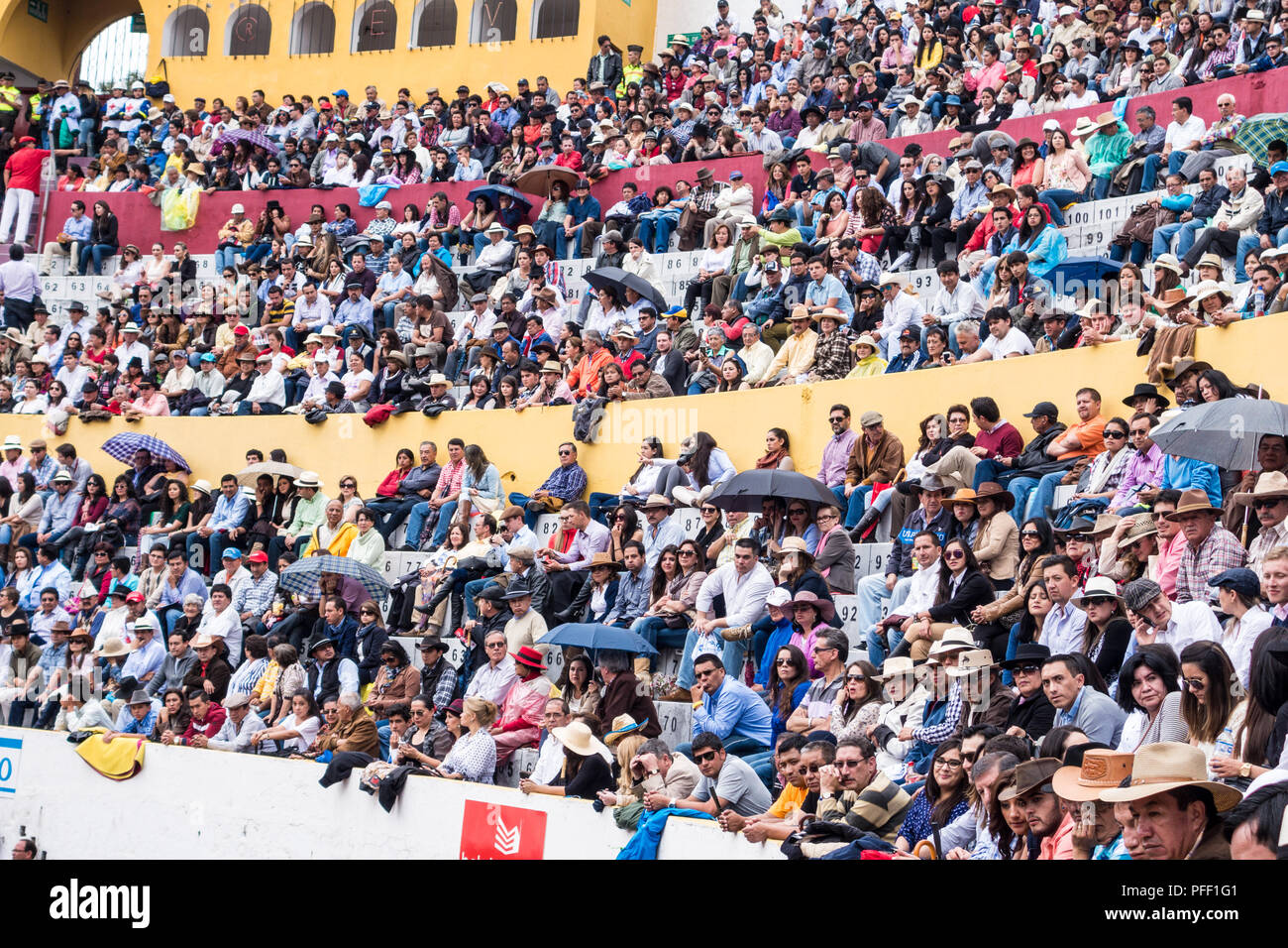 Ambato, Équateur / Feb 15, 2015 - Audience à corrida pour Carnaval célébration Banque D'Images