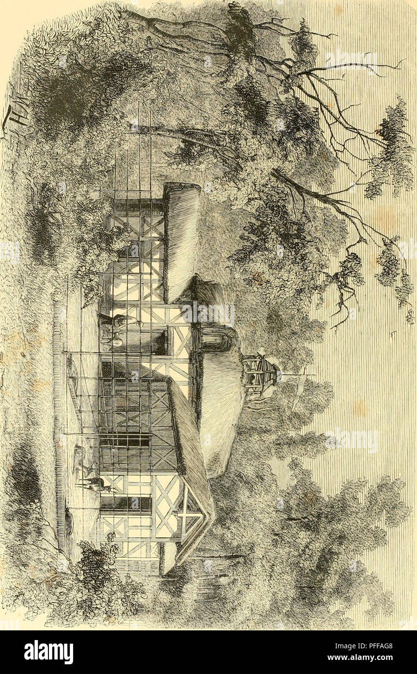 . De Dierentuin van het Koninklijk Zoologisch Genootschap Natura Artis Magistra te Amsterdam. Les zoos, les oiseaux. . Veuillez noter que ces images sont extraites de la page numérisée des images qui peuvent avoir été retouchées numériquement pour plus de lisibilité - coloration et l'aspect de ces illustrations ne peut pas parfaitement ressembler à l'œuvre originale.. Schlegel, H. (Hermann), 1804-1884 ; Witkamp, Pieter Harme, 1816-1892 ; Es, Gerard W. H. van. Amsterdam : Van Es. Banque D'Images