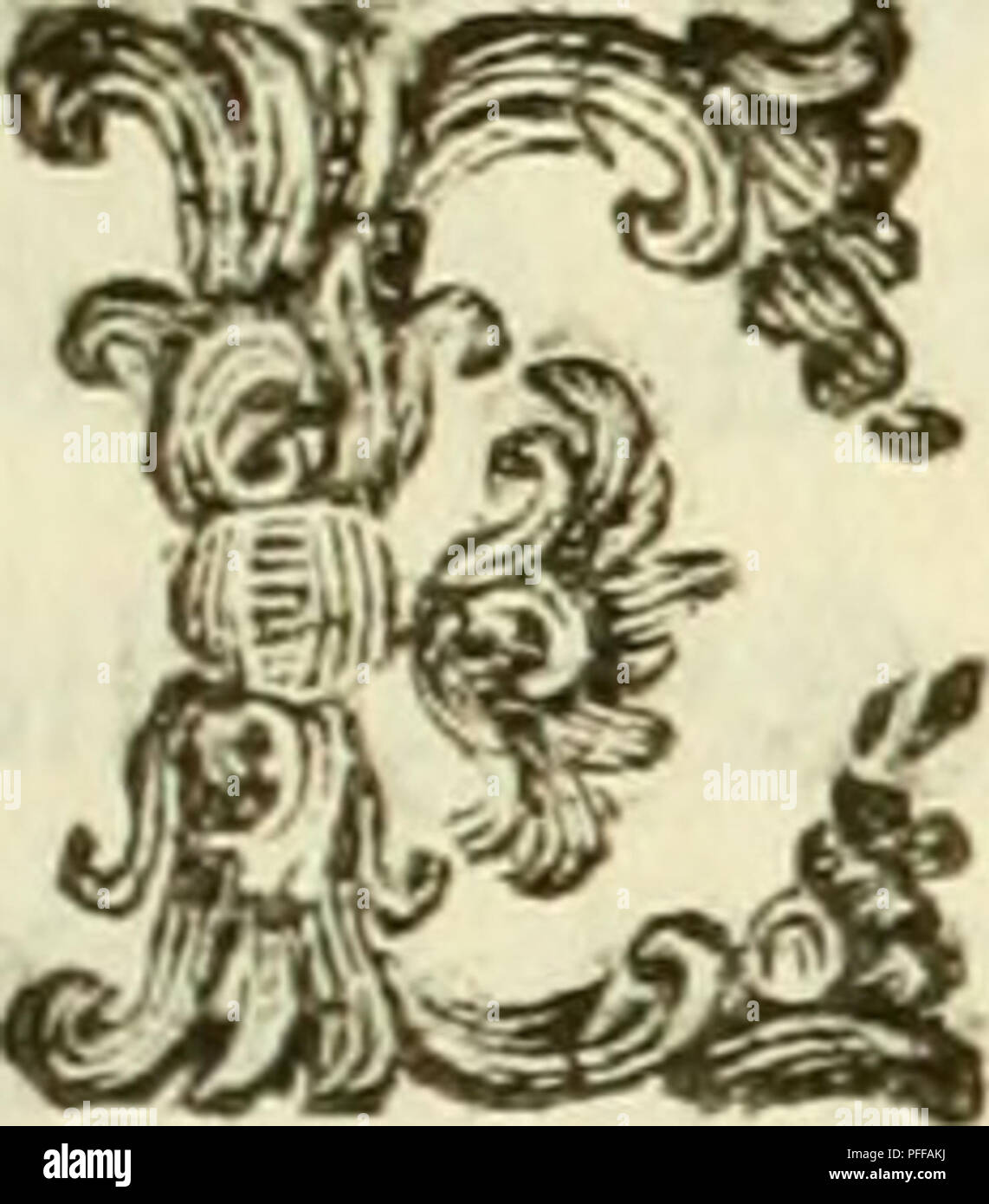 Ce travail italien explore divers phénomènes circulatoires chez les animaux, en se concentrant sur le mouvement sanguin indépendant de l'action du cœur, ainsi que sur la pulsation des artères observée chez les animaux à sang froid comme les salamandres, les lézards et les grenouilles arboricoles. Banque D'Images