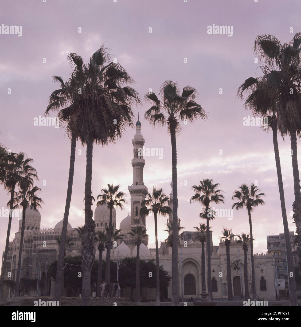 Egypte, Alexandrie, mosquée d'Abou El-Abbas al-Mursi, construit par des algériens sur la tombe de la 13e siècle saint Andalusan Ahmed Abu al-Abbas al-Mursi, en 1775, palm arbres en premier plan, coucher de ciel au-dessus. Banque D'Images