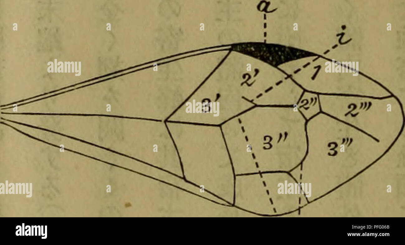 Dbutsugaku Zasshi Zoologie Zoologie M 8 C C a A E Aeae A A A A Aeaaºae Severnaƒ Cea A A A A A A A A C A Ceaa A A Cc C A A Caaea C C A A A C E Eac A Eªªaaea E C A C C 3 E A C A Ae E A C Ae A Eaaaec Dbutsugaku Zasshi Zoologie Zoologie M 8 C C a A E Aeae A A A A Aeaaºae Severnaƒ Cea A A A A A A A A C A Ceaa A A Cc C A A Caaea C C A A A C E Eac A Eªªaaea E C A C C 3 E A C A Ae E A C Ae A Eaaaec