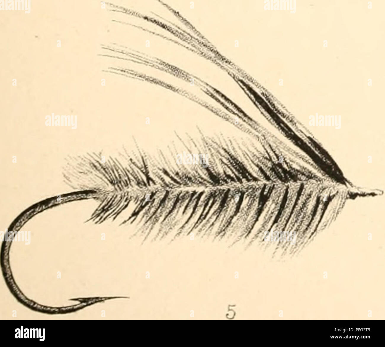 . Jours et nuits de la pêche au saumon dans la rivière Tweed. -- La pêche au saumon de la rivière Tweed ; le saumon. *. Veuillez noter que ces images sont extraites de la page numérisée des images qui peuvent avoir été retouchées numériquement pour plus de lisibilité - coloration et l'aspect de ces illustrations ne peut pas parfaitement ressembler à l'œuvre originale.. Scrope, William, 1772-1852. Londres : Hamilton, Adams ; Glasgow : Thomas D. Morison Banque D'Images