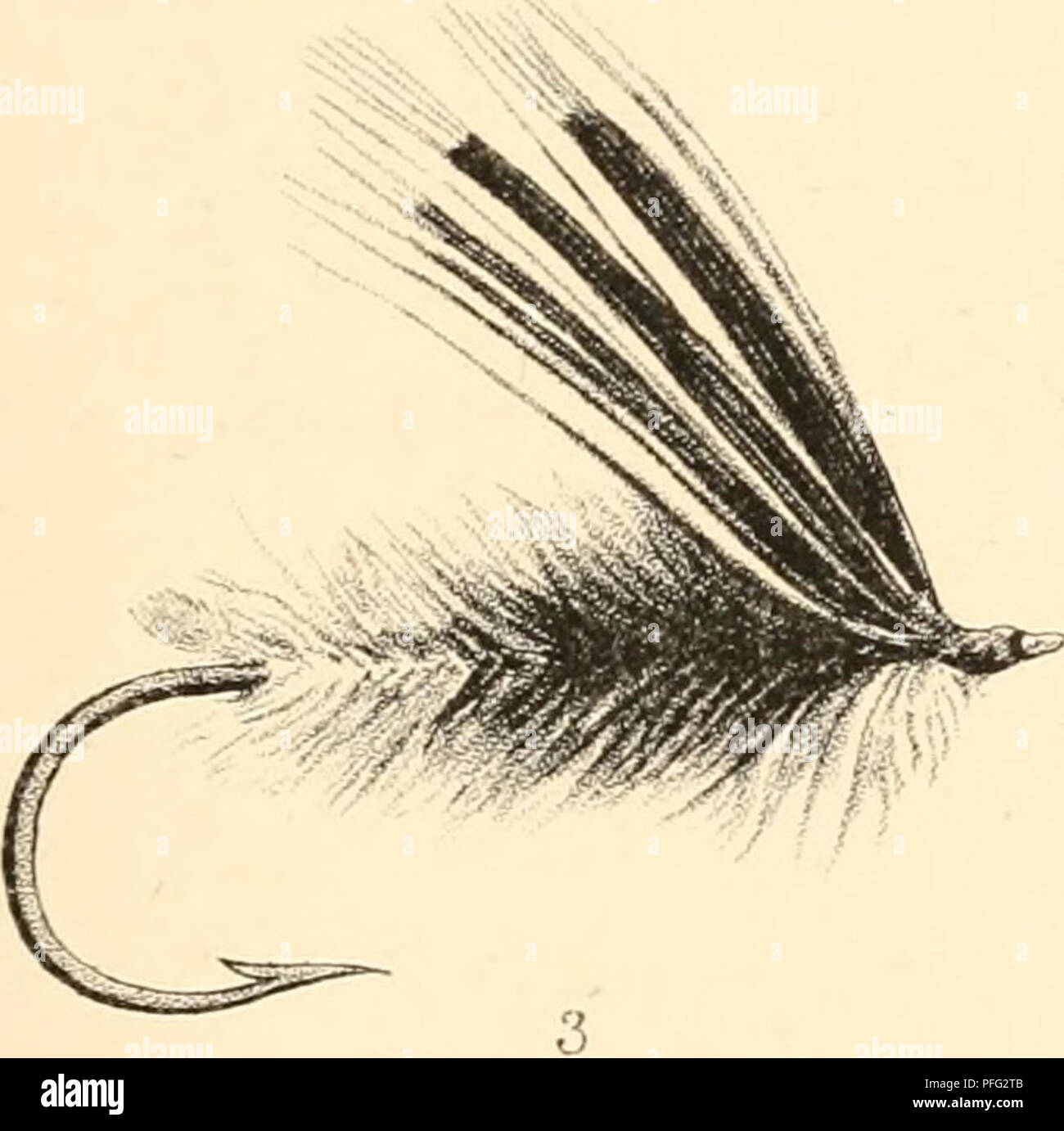 . Jours et nuits de la pêche au saumon dans la rivière Tweed. -- La pêche au saumon de la rivière Tweed ; le saumon. *. Veuillez noter que ces images sont extraites de la page numérisée des images qui peuvent avoir été retouchées numériquement pour plus de lisibilité - coloration et l'aspect de ces illustrations ne peut pas parfaitement ressembler à l'œuvre originale.. Scrope, William, 1772-1852. Londres : Hamilton, Adams ; Glasgow : Thomas D. Morison Banque D'Images