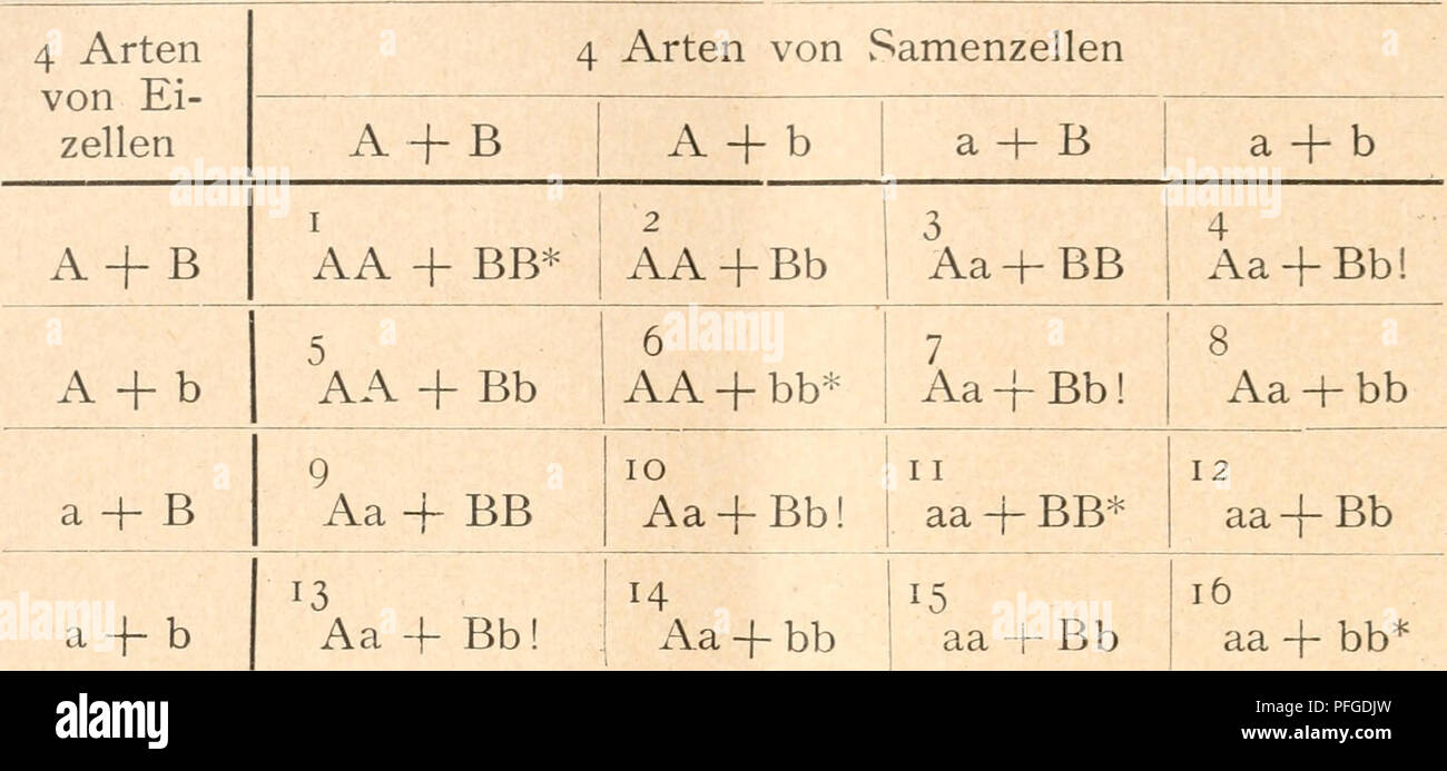 . Das werden der organismen zur widerlegung Darwins von zufallstheorie durch das Gesetz in der Entwicklung. L'évolution ; la vie. 88 Drittes Chapitre. Kombinationsschema Dihybriden für. F-génération.. Bei Durchmusterung des schemas lassen sich die i6 4400- nationen dans 4 Hauptgruppen nach dem Zahlenverhältnis 9:3:3 : j'anordnen. Es zeigen nämlich Individuen nämlich 9 (i, 2, 3, 4, 5, 7, 9, 10, 13) die beiden dominanten Merkmale und UN B und sich gleichen daher in ihrer äußeren Erscheinung, wenn Sie auch in Bezug auf die übrigen Gene zum Teil innerlich voneinander verschieden sind und bei fortgesetzter Banque D'Images
