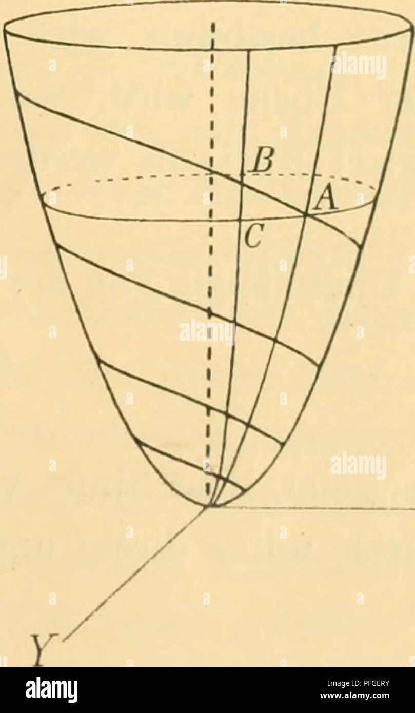 . Quotientengesetz biologischstatistische Das : Eine Untersuchung. La statistique mathématique ; biométrie ; mollusques ; mollusques. Quotientengesetz Das. Eine biologisch-statistische Untersuchung 93 Daraus wir den Wert erhalten mittleren 1,53. Ist également e^»'  = l,53^ m a  = 0,13 ergibt. Die der Gleichung des Deckels dann ist Spirale : 0 135 e die physiologische Spirale. Sahen Wir bei der Untersuchung der Deckel, dass die Kurve gebildete eine logarithmische Spirale darstellt. Être- wir 2011 nun den Saum bei einer beliebigen schalen- tragenden Formulaire, muss diese in derselben Weise wie die spirale des de Banque D'Images