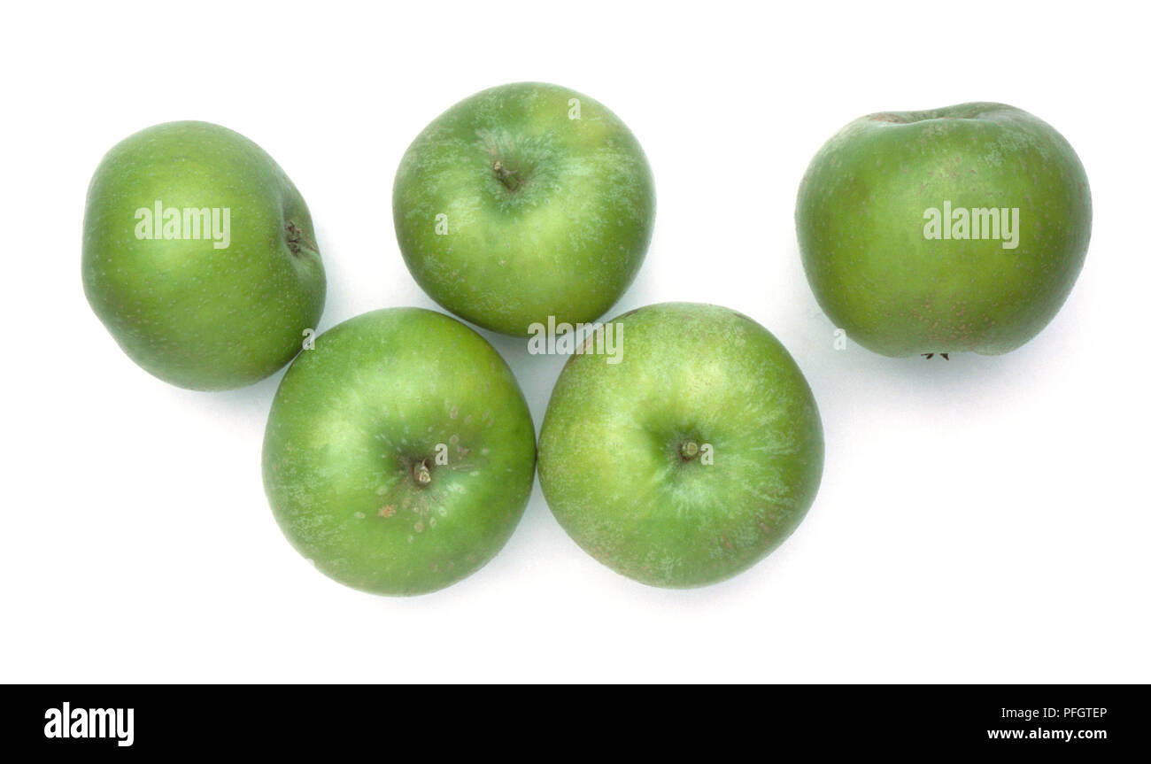 Malus domestica 'Edward VII', cinq pommes reinettes d'Angleterre Banque D'Images