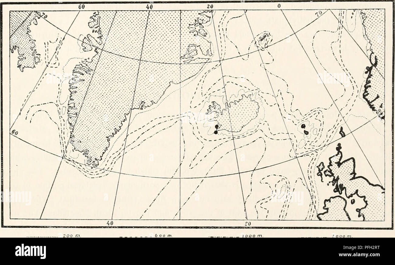 . Le Ingolf-Expedition danois. Expéditions scientifiques ; l'océan Arctique. HYDROIDA *7 Un examen plus approfondi des polypes et de leur vivant des conditions très bientôt nous montre que l'apparition du polype varie très fortement en fonction de son état de contraction. Maintenant, c'est étiré en longueur, en supposant qu'environ la forme d'un ver mince, maintenant c'est à nouveau engagé pour un montant forfaitaire court et épais, très près de l'approche de forme globulaire. Parfois, le polype est au niveau le plus large à la base ; parfois, c'est engagé dans cette partie, de sorte que la plus grande largeur apparaît aussi à l'extérieur. L'étude de la vivre Banque D'Images