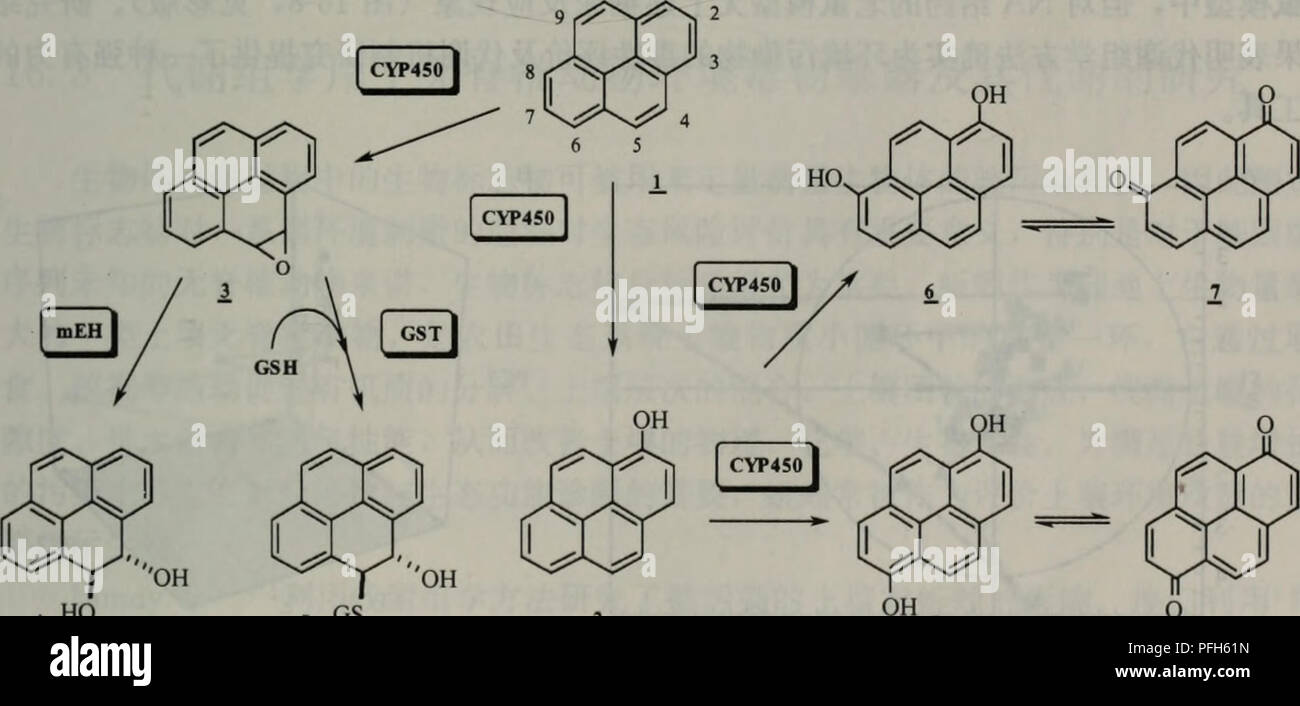 Cette image est tirée d'un texte botanique écrit en chinois, axé sur les méthodes et les applications en botanique, y compris les techniques de culture des plantes et d'étude scientifique. Banque D'Images