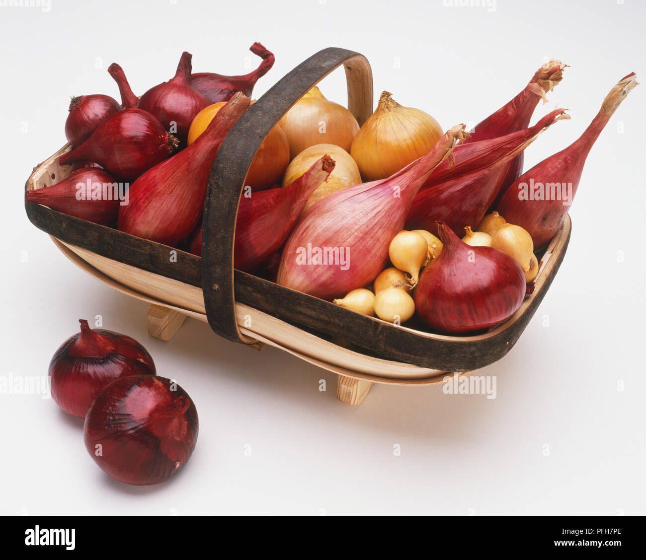 L'Allium cepa, oignons de différentes couleurs et tailles dans un panier en bois Banque D'Images