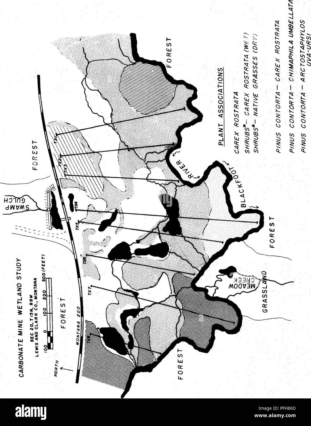 . Repos végétatif, hydrochimiques et microbiologiques des effets d'un parc naturel et un milieu humide artificiel sur le contrôle du drainage minier acide . Mine Drainage ; drainage minier acide ; les zones humides. -J J J M M 0 - Q) &gt ; o o &gt;1 a o c (0 u â¢o c 03 U) c o â¢l-l m â¢rH O o CO à (0 Â ¢ c o m -j-l 4J -P u m 0) 4J CD U &gt ; -p I 0) M J -10 6. Veuillez noter que ces images sont extraites de la page numérisée des images qui peuvent avoir été retouchées numériquement pour plus de lisibilité - coloration et l'aspect de ces illustrations ne peut pas parfaitement ressembler à l'œuvre originale.. Montana State University (Bozeman, au Montana, ). Reclamati Banque D'Images