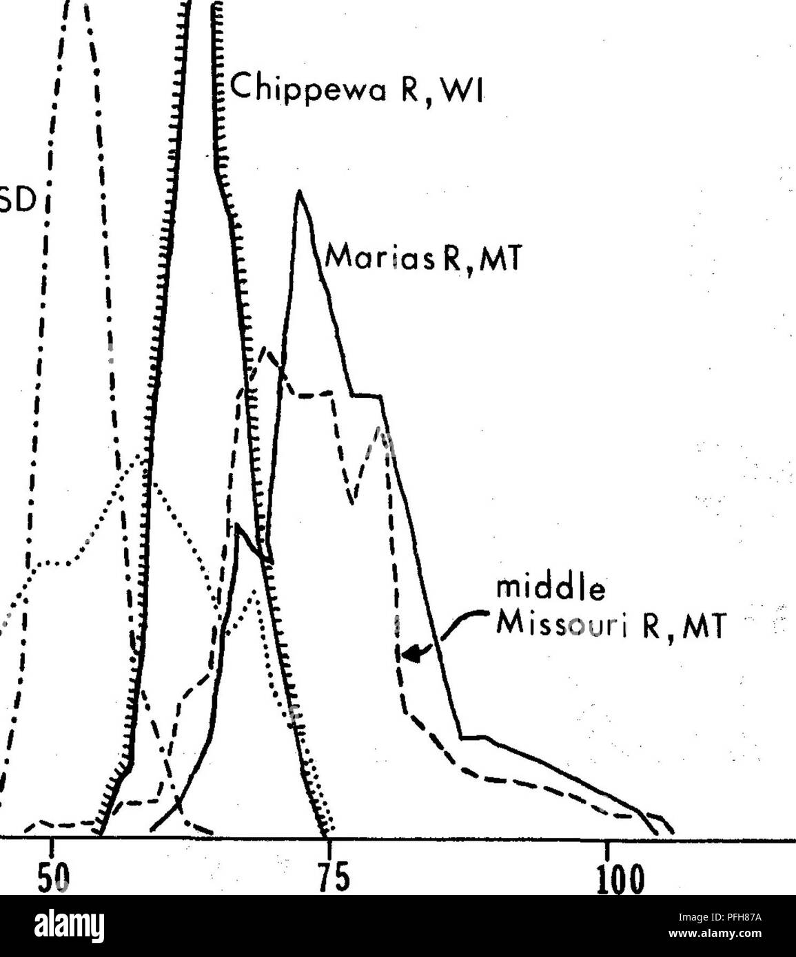 . Les populations de poissons sauvages de la &AMP ; scenic rivière Missouri, Montana . Enquêtes de pêche ; Wild and Scenic Rivers ; poissons ; les poissons. 25-1 20- 15- Missouri R,SDi tsio j- 5- ^ Mississippi R,IA/ / [R Chippewa, WI 25 jriasRjMT. J'y- Longueur cm Figure 23. Une comparaison de l'lenqth freauencv-distributions de l'esturgeon à l'échantillon de la partie inférieure et intermédiaire Marias le Missouri (Montana), Rivière Chippewa (Wisconsin), Mississippi (Iowa), et du Missouri (Dakota du Sud). 101. Veuillez noter que ces images sont extraites de la page numérisée des images qui peuvent avoir été retouchées numériquement pour plus de lisibilité Banque D'Images