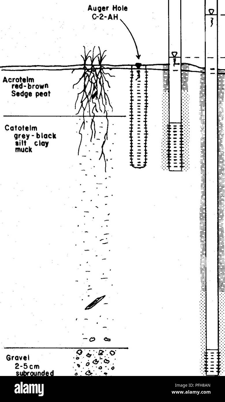 . Repos végétatif, hydrochimiques et microbiologiques des effets d'un parc naturel et un milieu humide artificiel sur le contrôle du drainage minier acide . Mine Drainage ; drainage minier acide ; les zones humides. la variable méthode head de modification de la période de décalage hydrostatique méthode de Hvorslev (1951), tel que revu par Cedergren (1977), a servi à calculer le champ saturées conductivité hydraulique. Cette méthode est basée sur la vitesse à laquelle l'eau monte ou descend dans un trou après un volume connu (slug) a été supprimé ou ajouté. Dans le cas de la vis sans fin une écope de trous a été utilisé pour enlever un volume d'eau et le taux de montée de l'eau a été m Banque D'Images