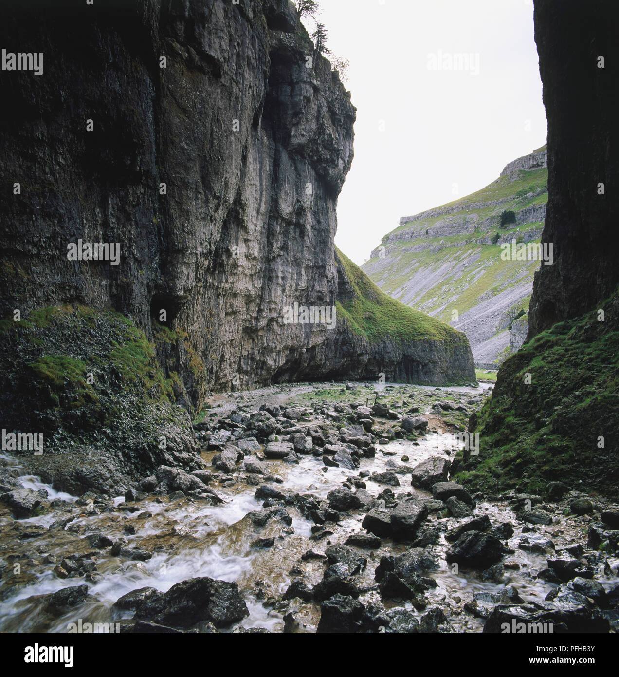 La Grande-Bretagne, l'Angleterre, dans le Yorkshire, une gorge profonde gardée par des falaises de calcaire, appelée Gordale Scar. trickling sream passe par une série de roches brisées, dark rock sévère fait face à un cadre à la photo. Banque D'Images