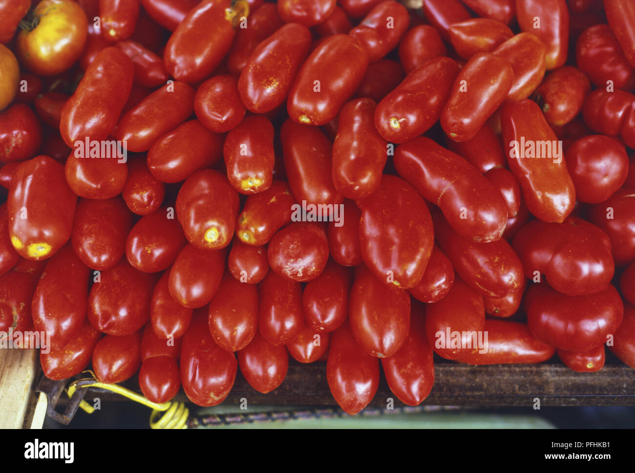 Italie, Florence et la Toscane, empilés tomates italiennes, side view Banque D'Images