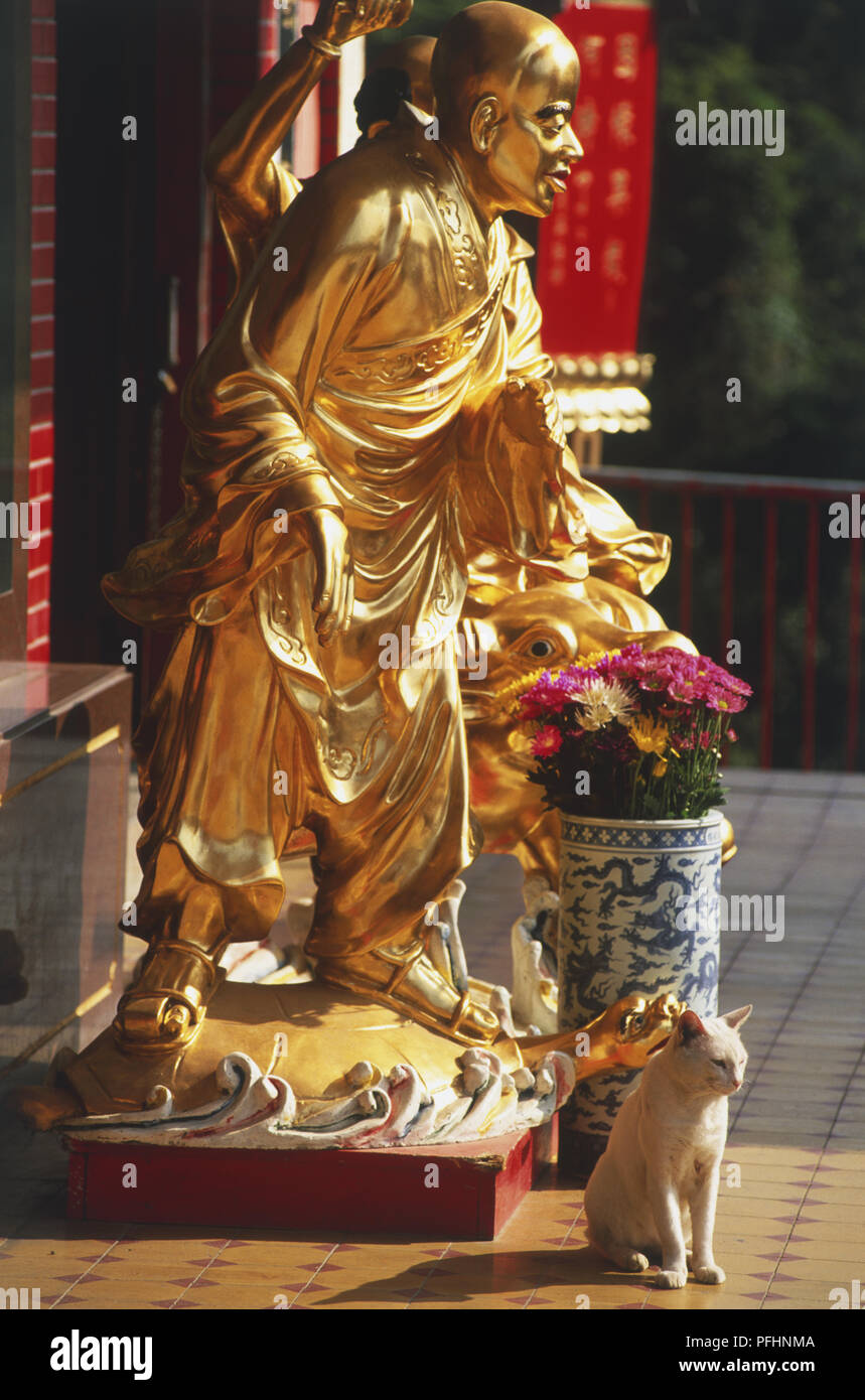 La Chine, Hong Kong, statue d'or dans dix mille bouddhas monastery, cat sitting in front Banque D'Images