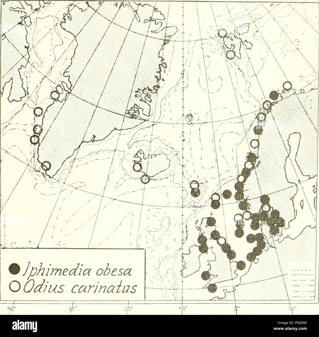 . L'Ingolf danois-expédition. Les animaux marins -- les régions de l'Arctique ; les expéditions scientifiques ; les régions de l'Arctique. Les crustacés Malacostracés. VII. 209 - dans les eaux danoises très fréquent de l'Storebelt et le son (Hven), les profondeurs plus couramment 15 à 40 m. (K. Stephensen, Vid. Medd. vol.82, 1926, p. 74). - 6i°j4' N., 119' E., 160 m. ("Thor" 21-7-1905, 120, rue ; les spécimens dans le Copenhagen Zool. Musée). - Amérique du .Sea, plusieurs lo&Lt ; réalités r," 02' X 3, r.6•'' ].., 73 m., la ligne du sable ; 57 "54' N., 44.S' E., 100 m., du sable fin avec de l'argile (Reibisch 1907, p. 189) : 54' 05' 128, X.•' !...  %]P Banque D'Images