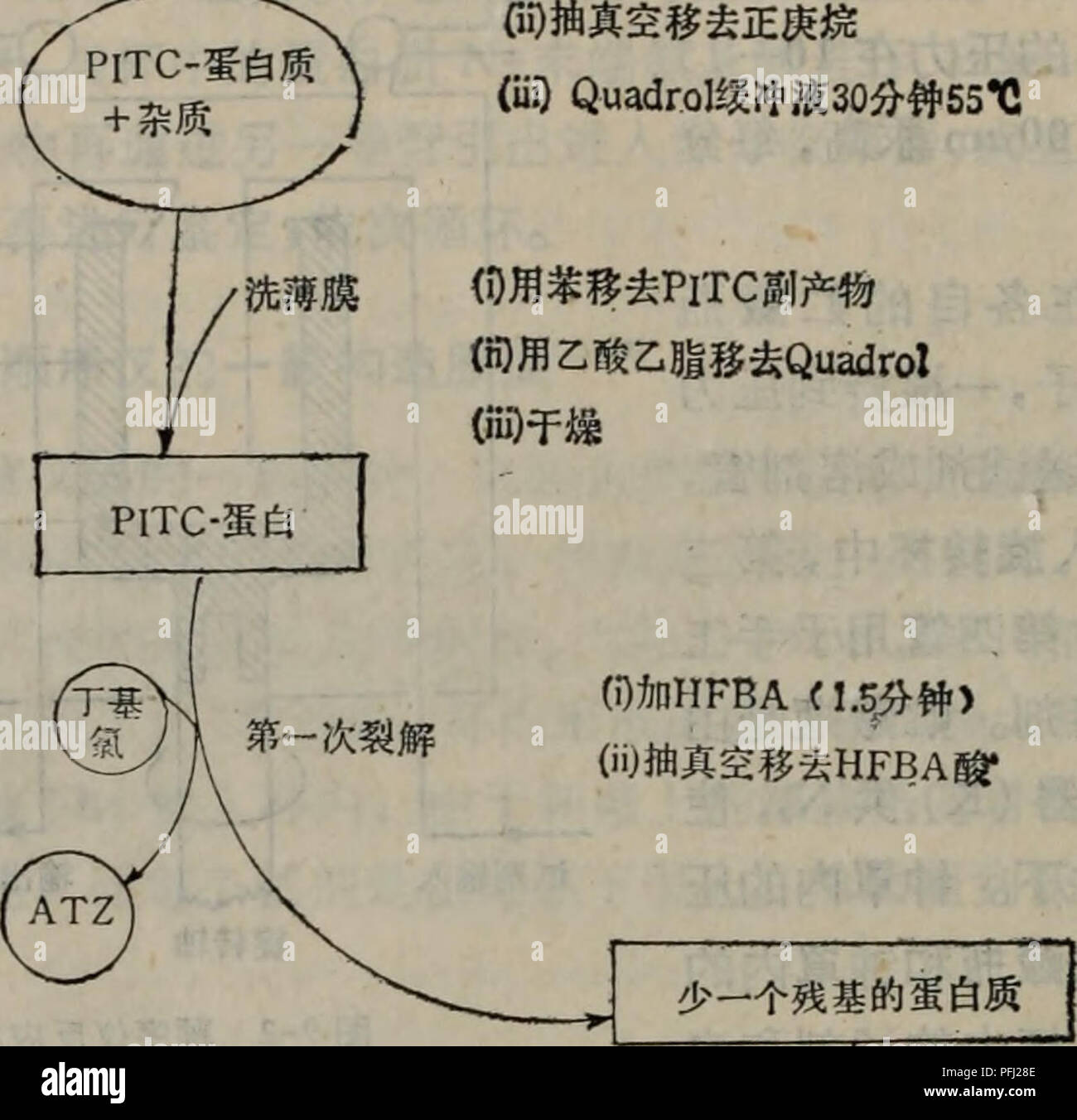 Dan Bai Zhi Shun Xu Fen Xi Ji Shu Botanique A Ae A A Aeee O Jffahfba Ii Aee Iii Ae Cc C º Iv A E A Egg C V A Jtf I Jpitc 5 Ae Aºc Gi Ae Cc ºc C A Ae Aºc Quadrouga Ae Iii 30 Ae55 0 A5c E